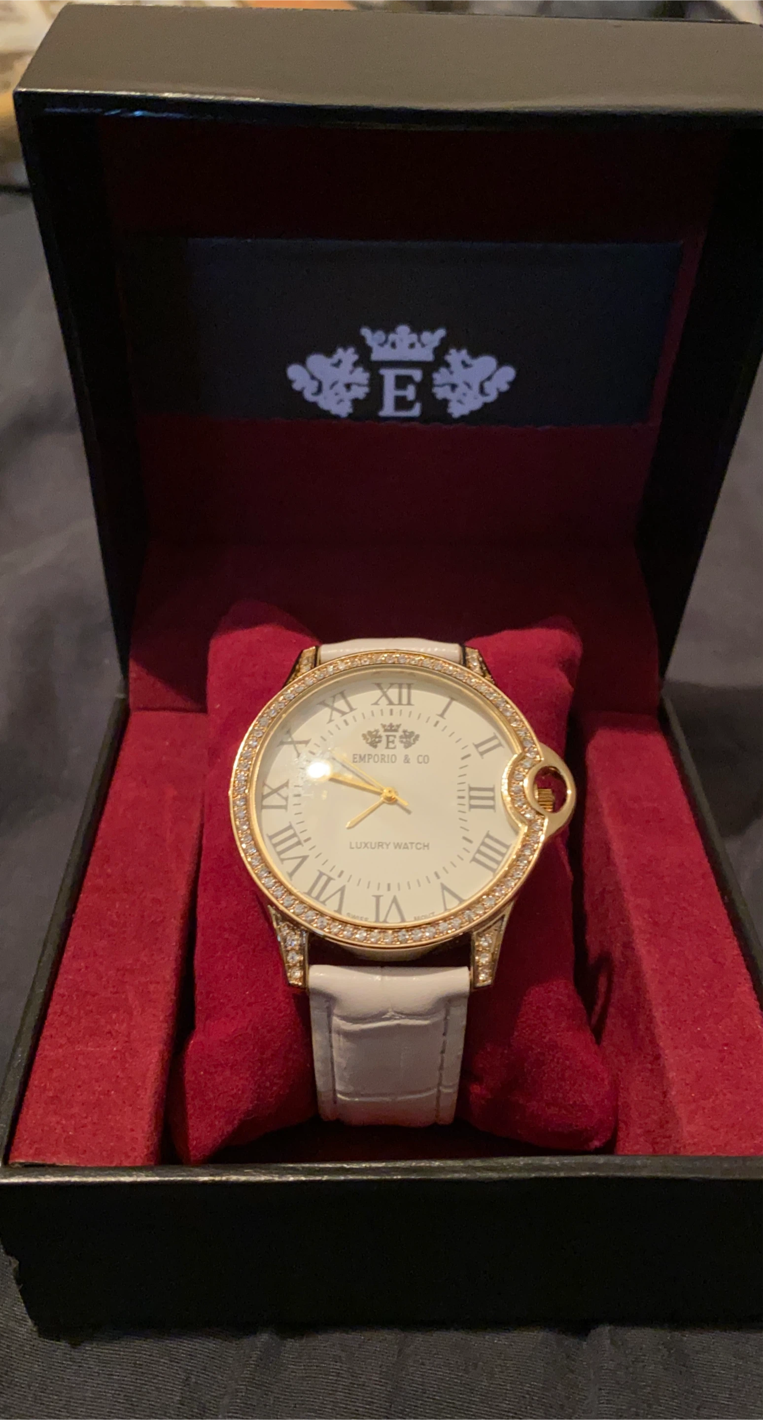 Emporio & Co Luxury Watch with Box