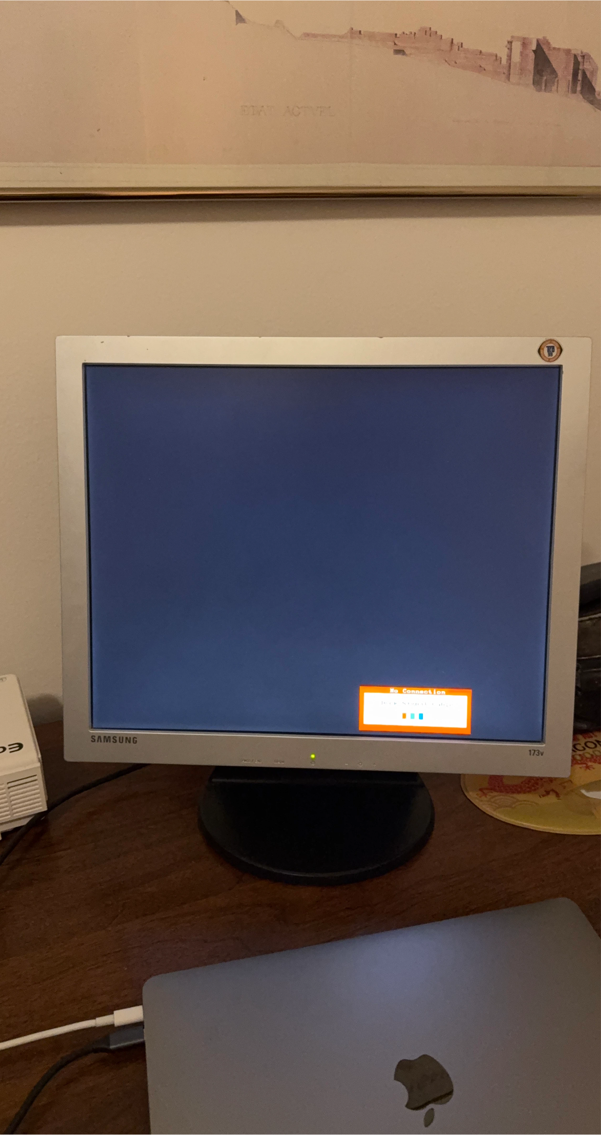 Samsung 173v Monitor