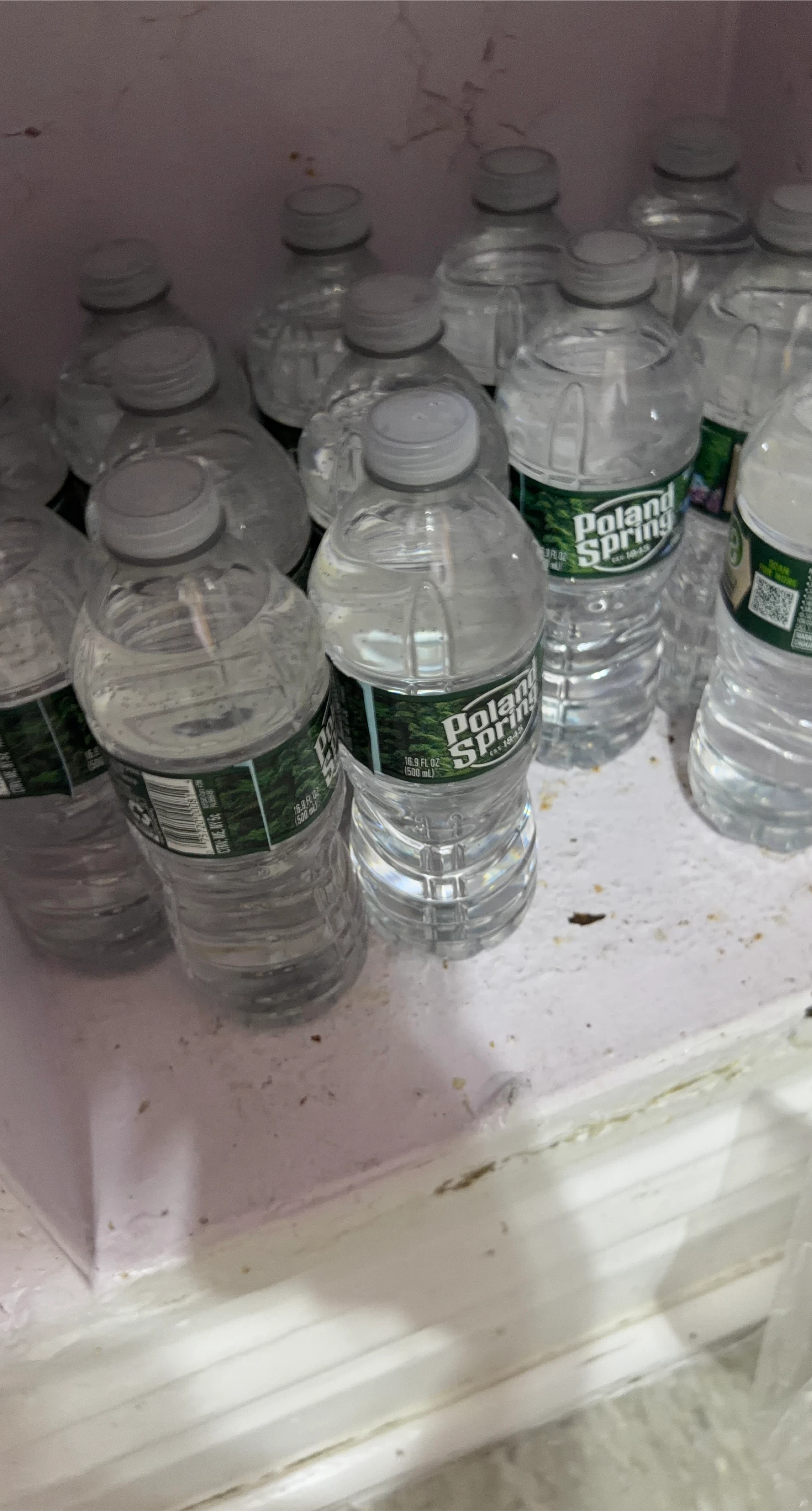 Poland Spring Bottled Water (16.9 fl oz)