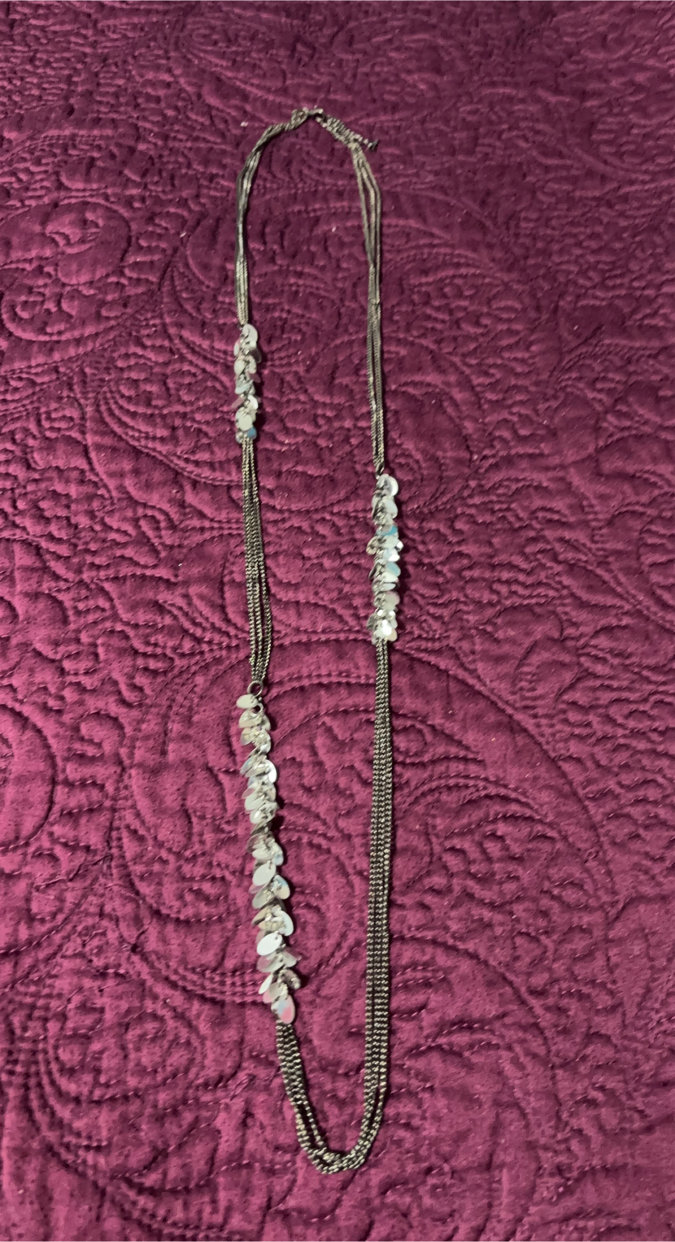 (+1🥕) Silver tone layered necklace with charms