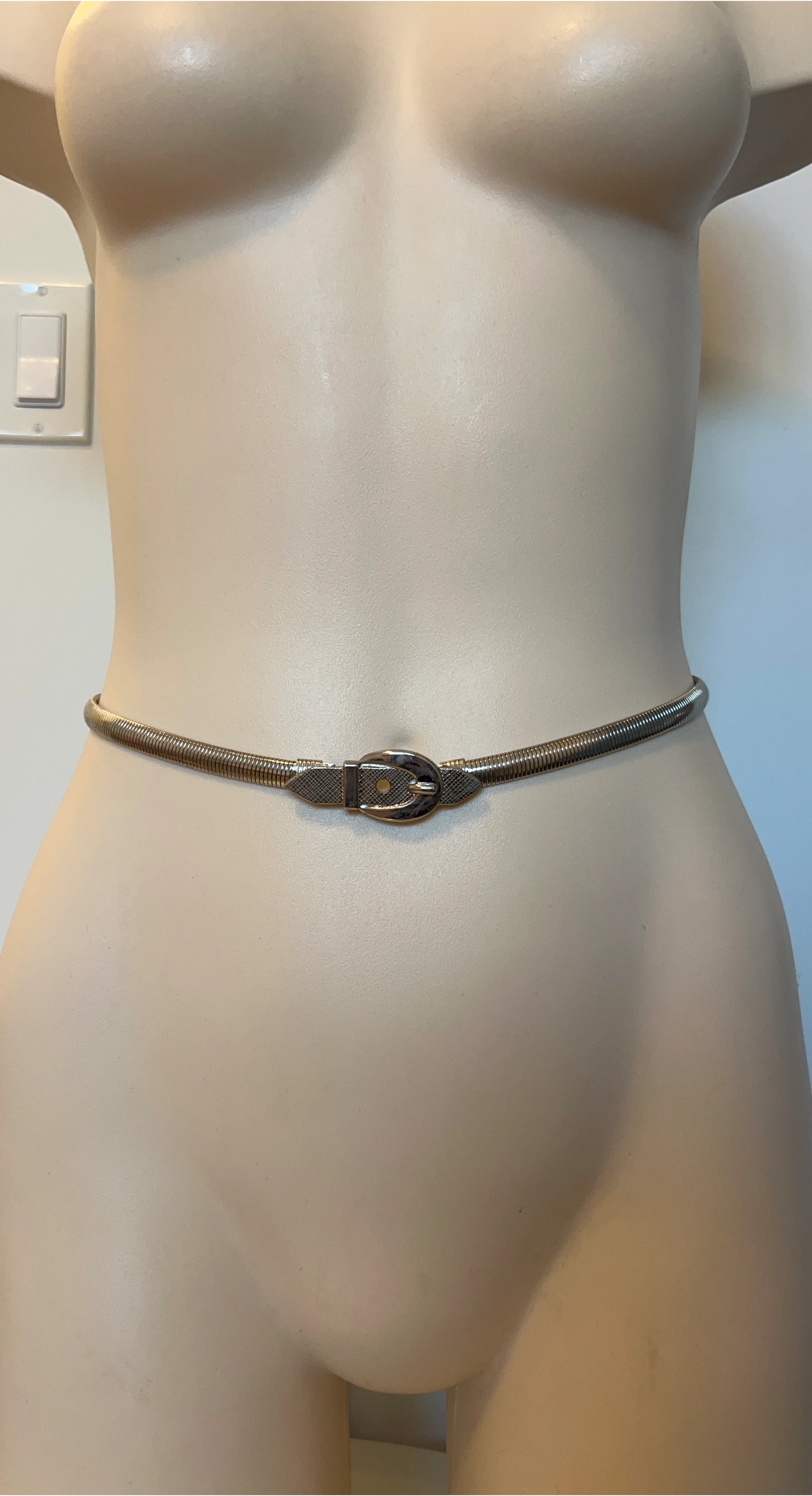 Vintage Silver Belt image indicator(2)