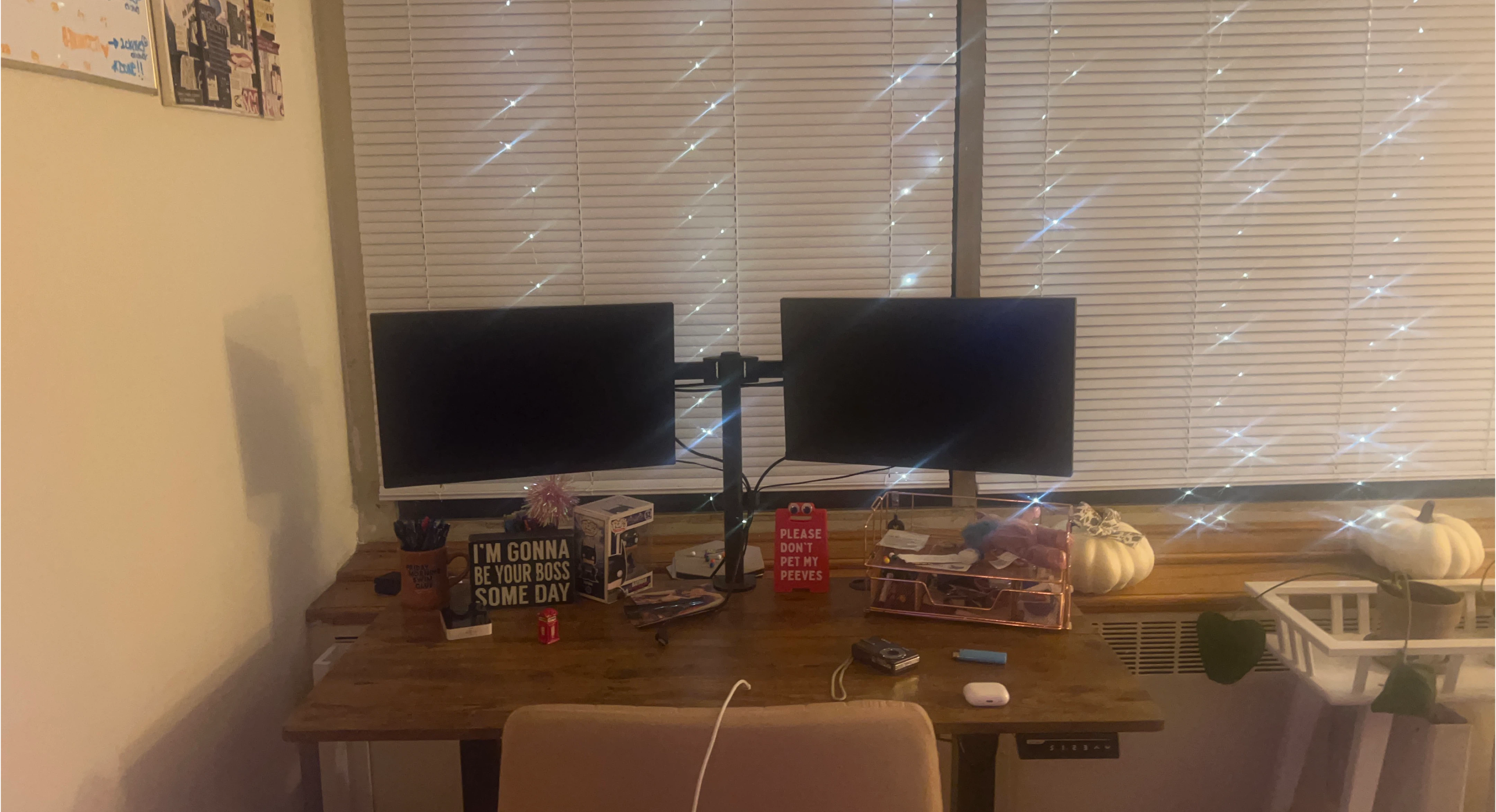 2 computer monitors