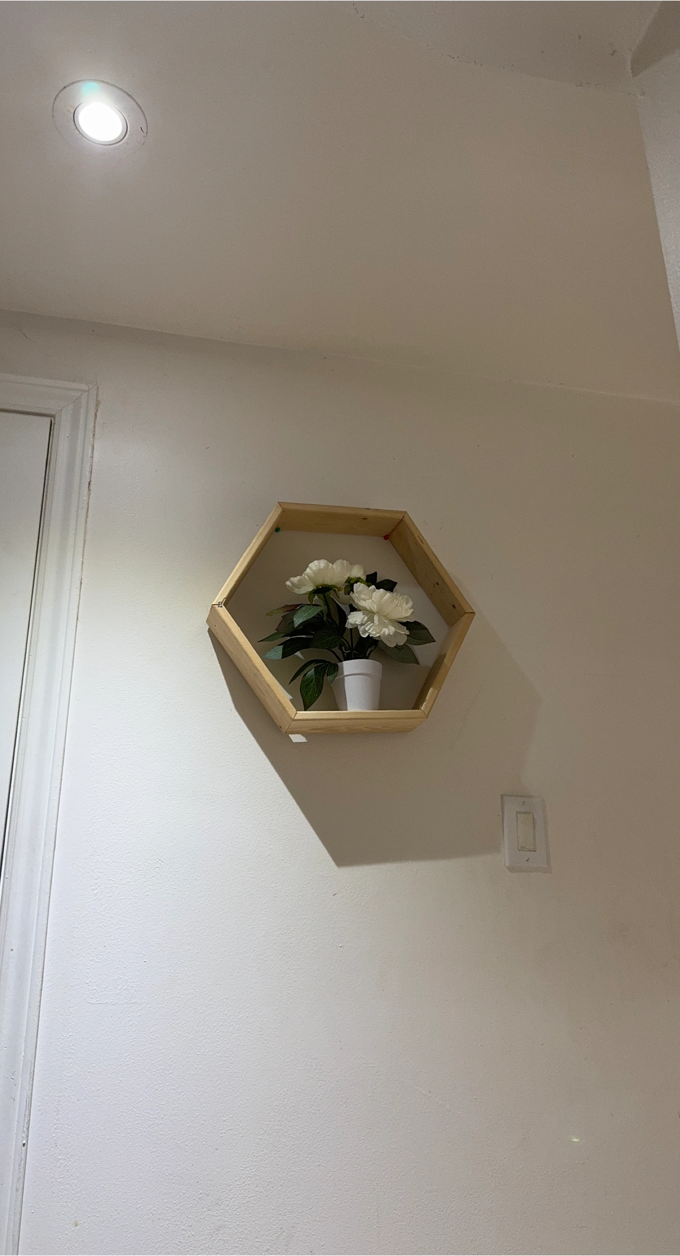 Hexagon Wall Shelf with Faux Plant thumbnail