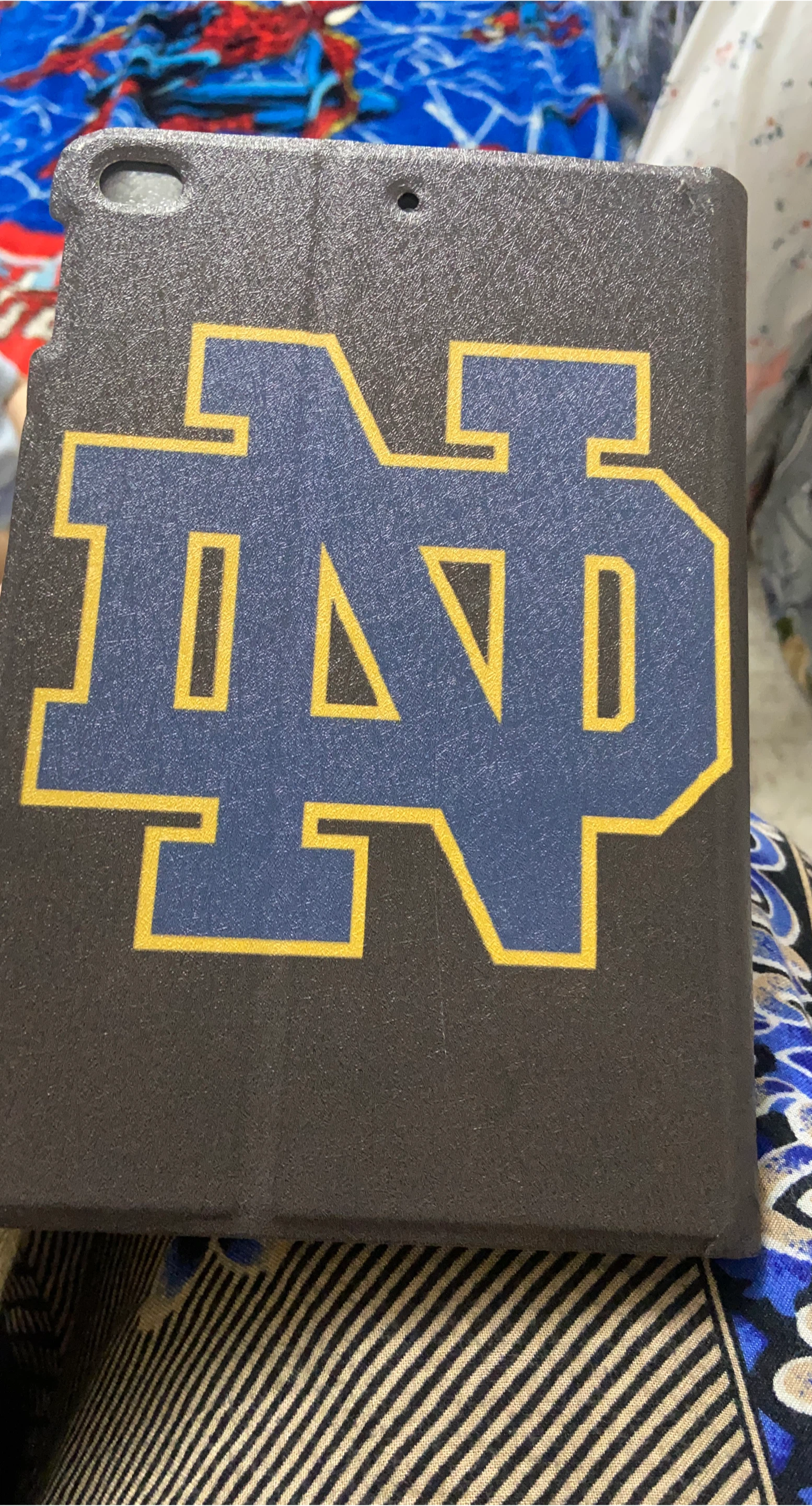Notre Dame iPad Case