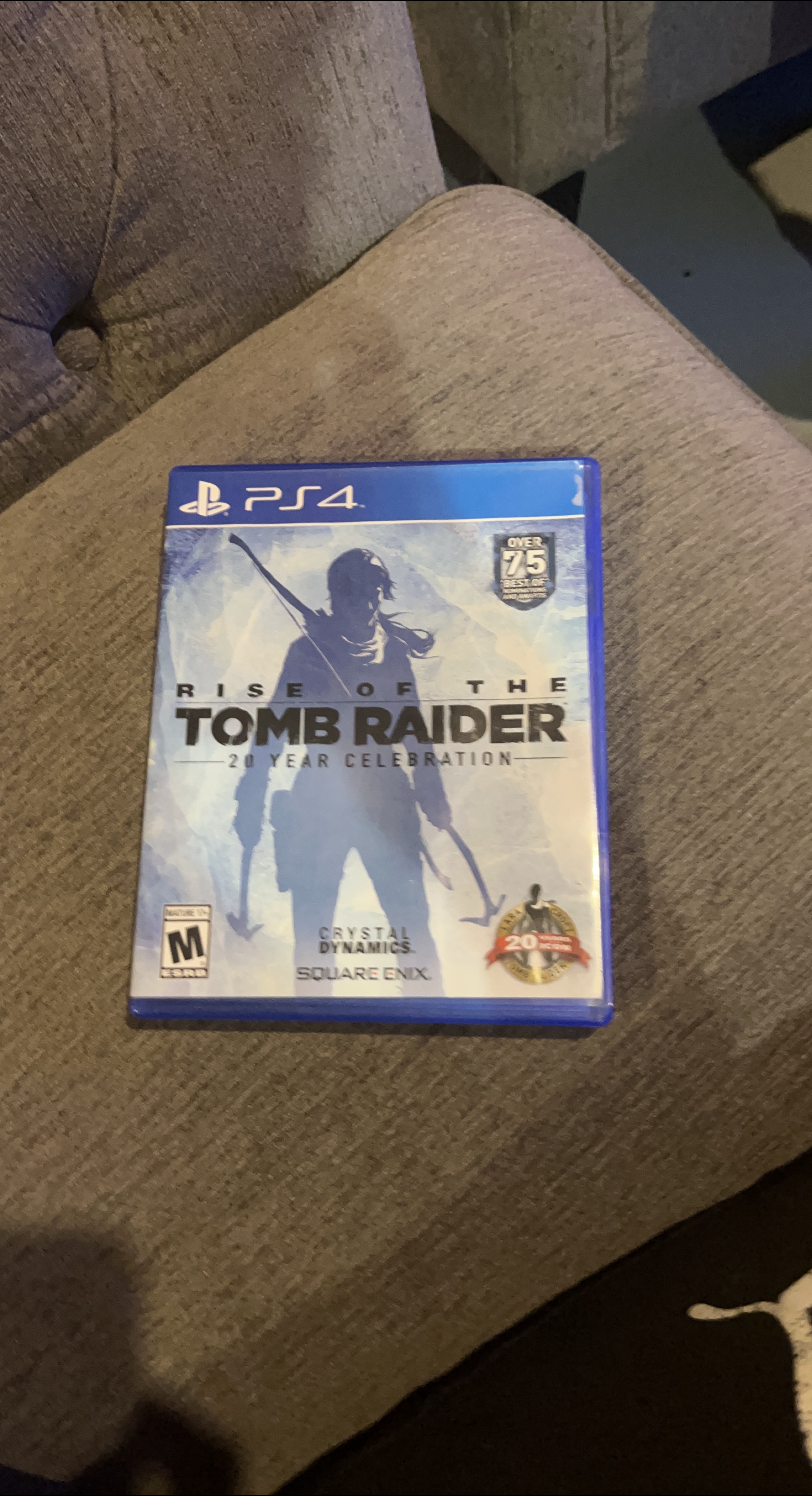 Rise of the Tomb Raider: 20 Year Celebration - PS4