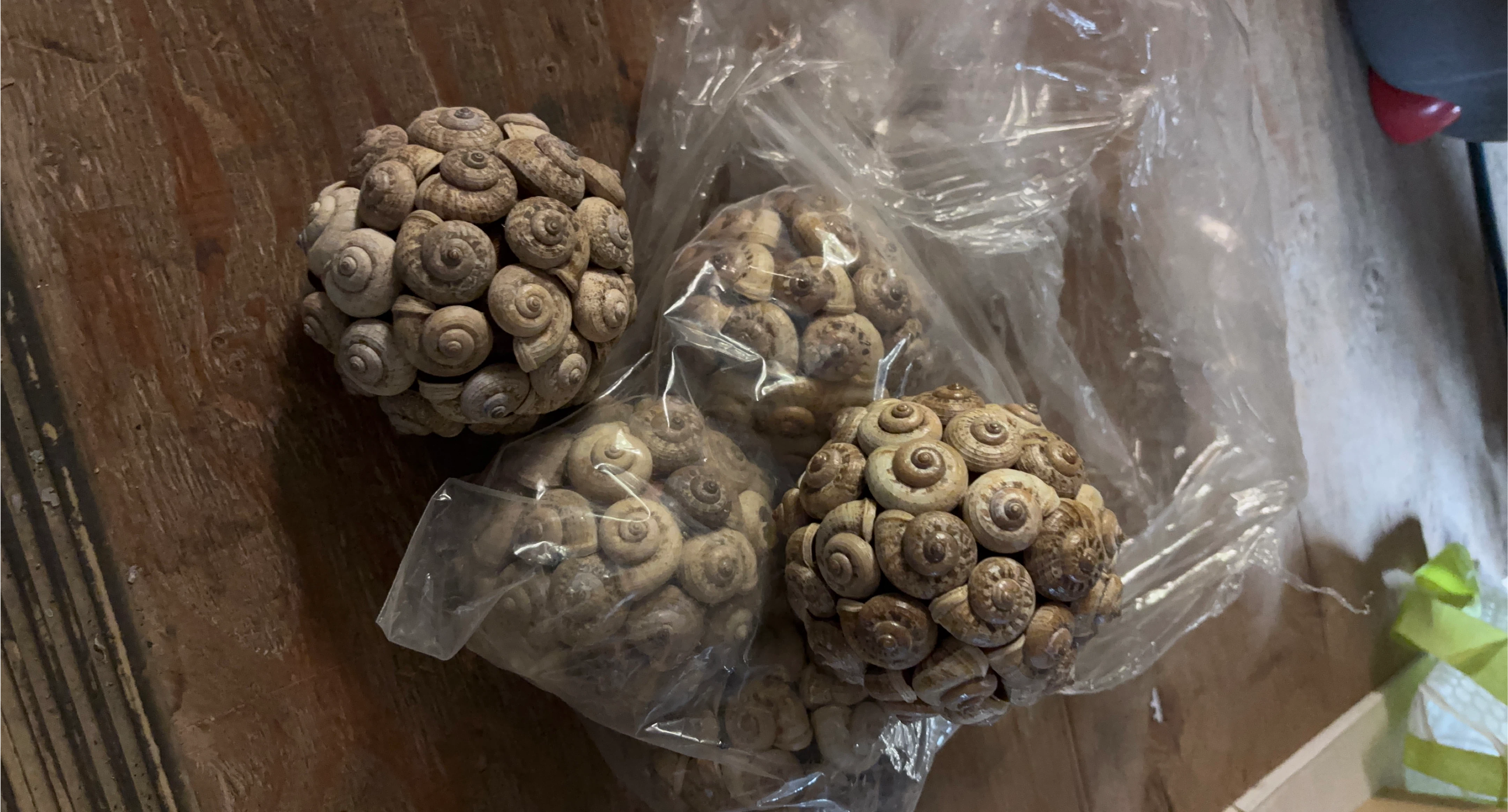 Decorative Snail Shell Balls