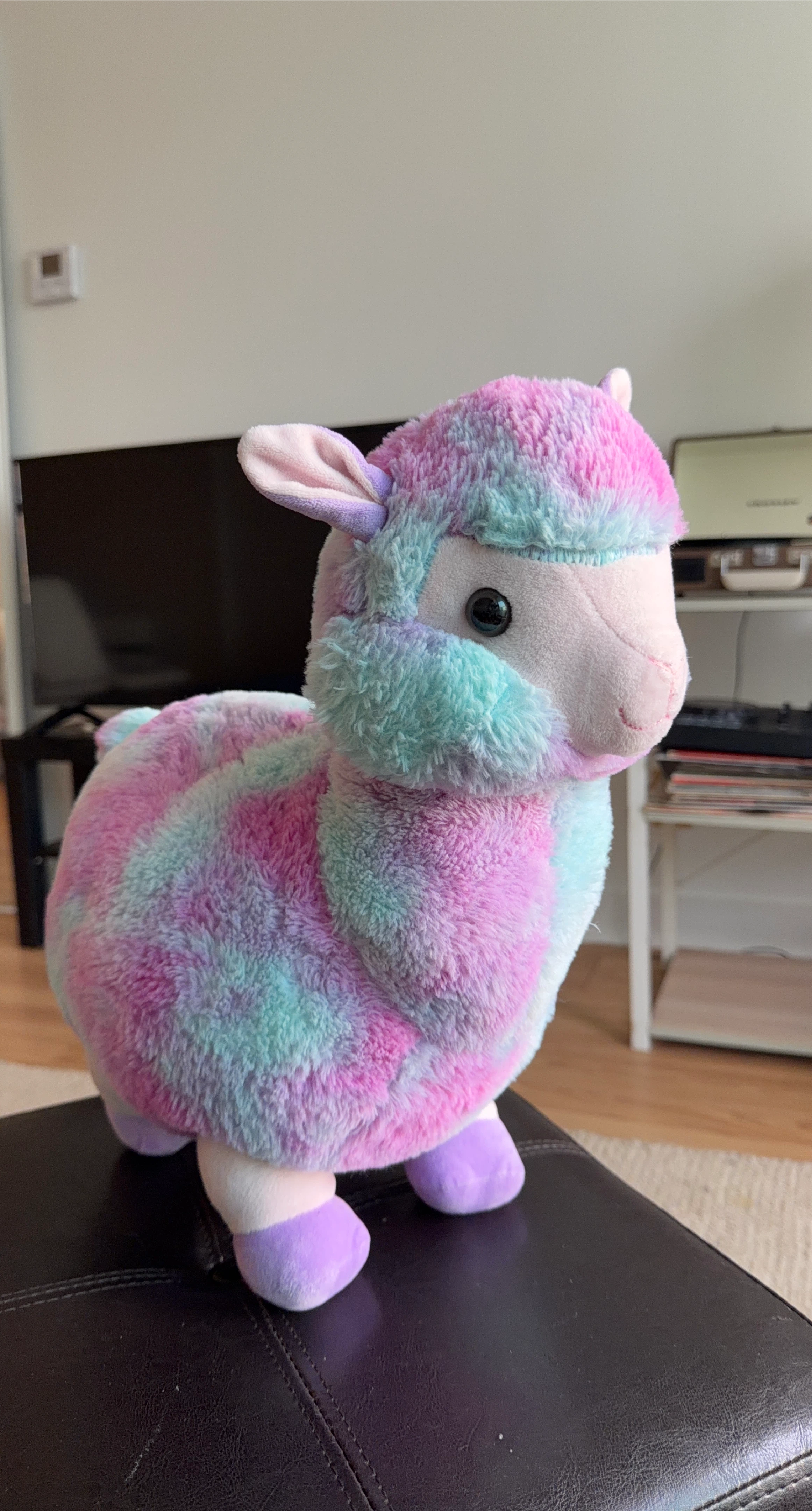 Pastel Sheep Plush Toy thumbnail
