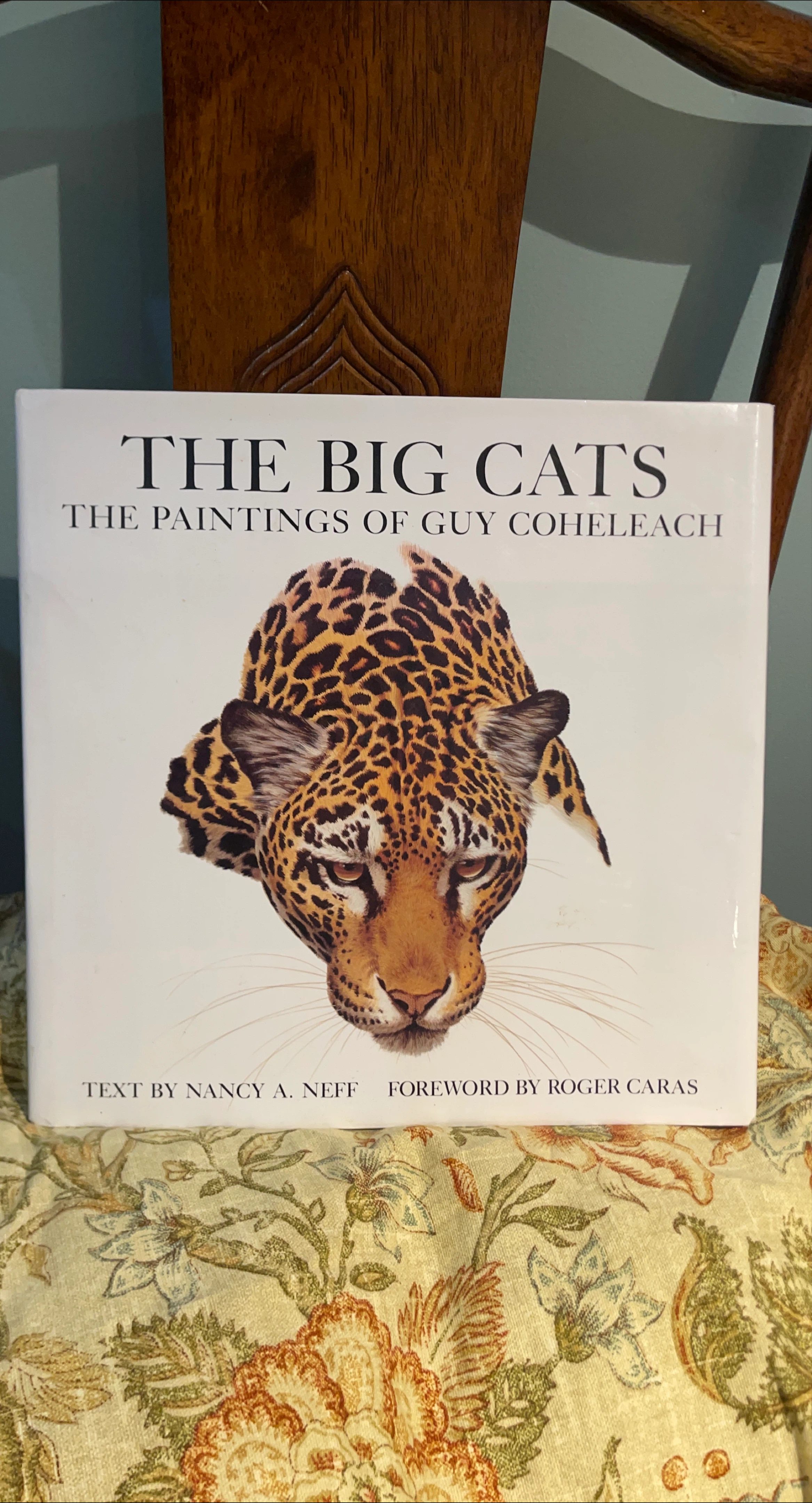 comment article thumbnail