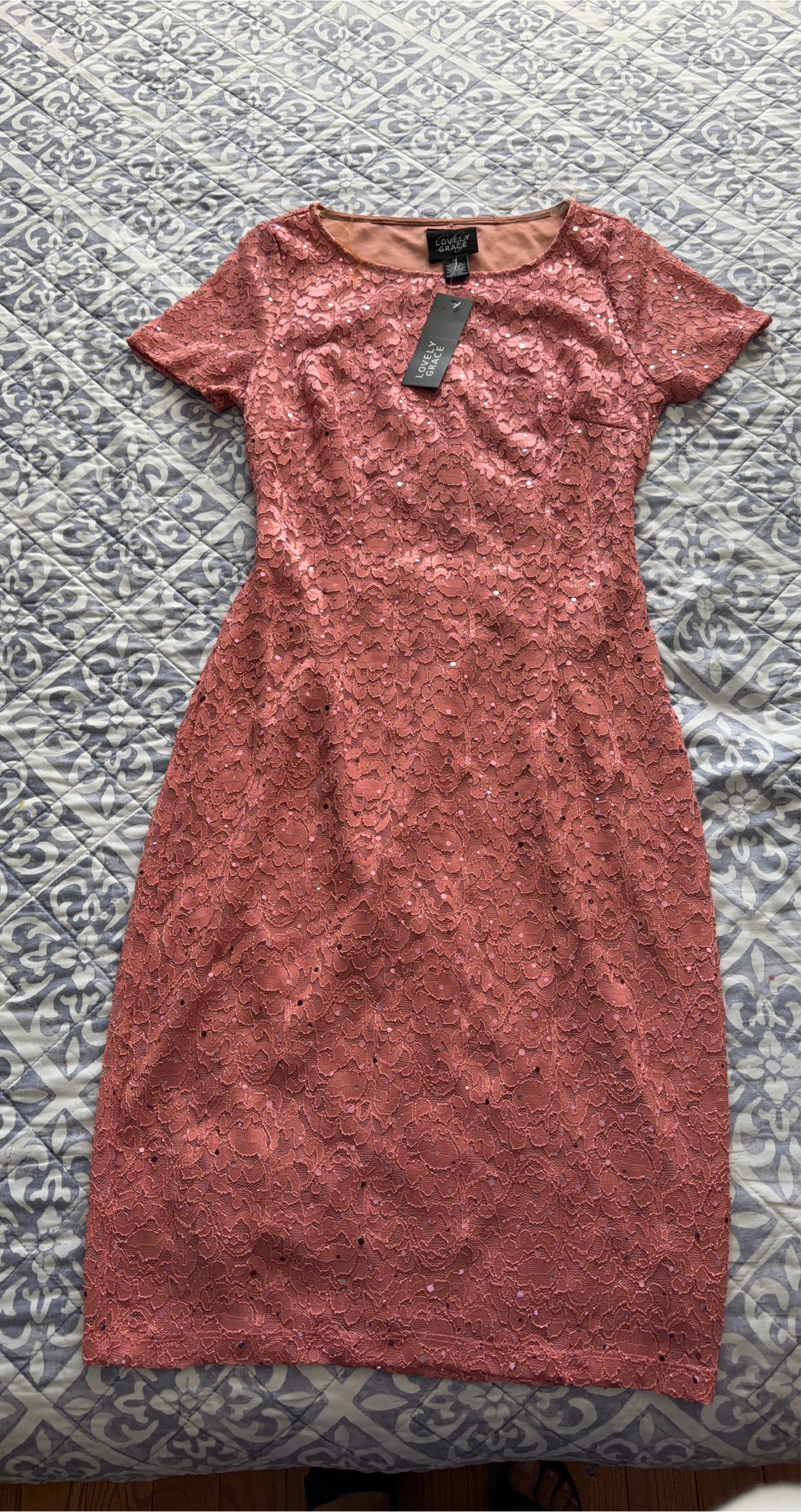 Lovely Grace Pink Lace Dress thumbnail