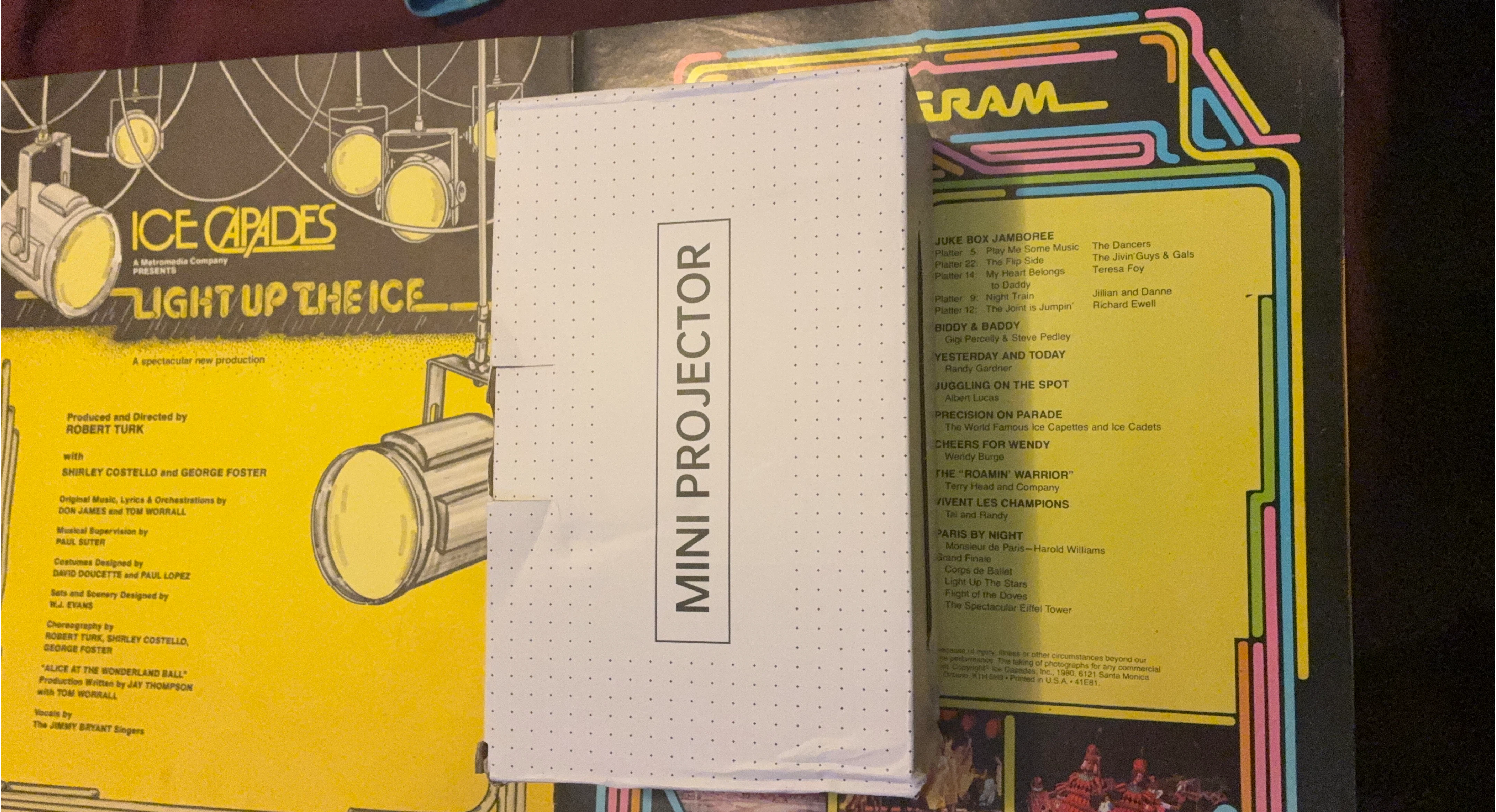 Mini Projector image indicator(1)