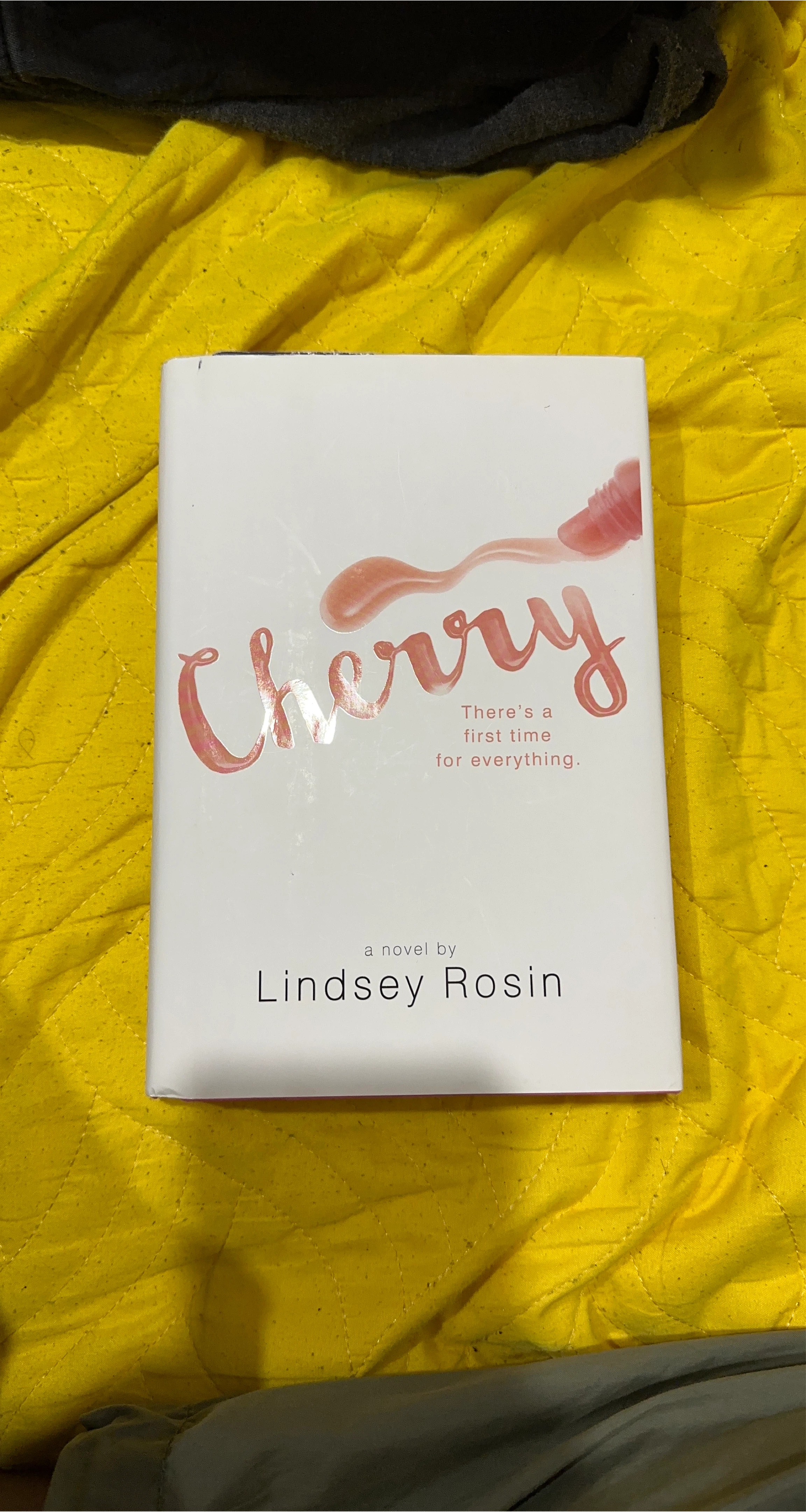 Cherry by Lindsey Rosin Novel