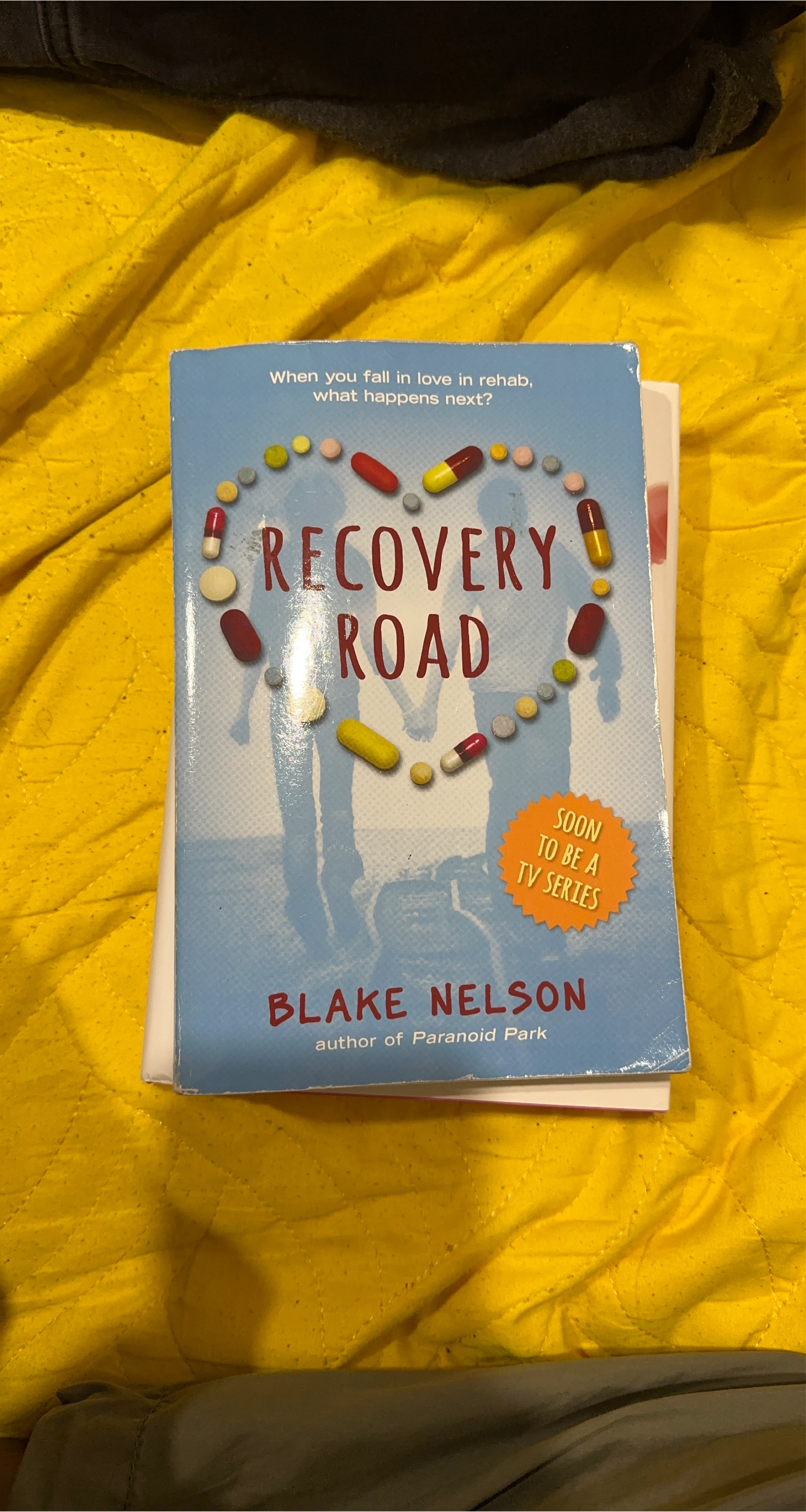 Recovery Road by Blake Nelson