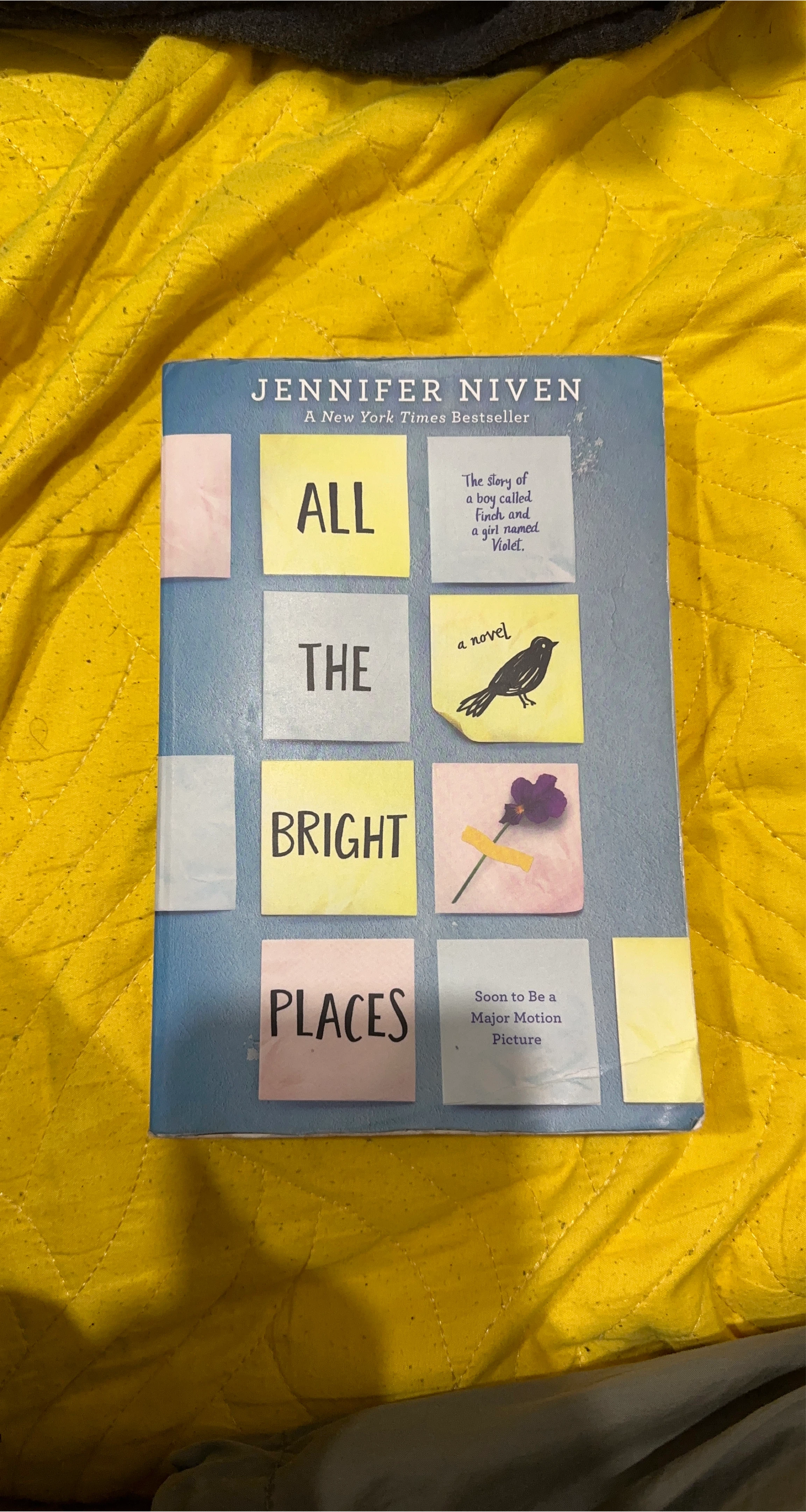 All the Bright Places by Jennifer Niven