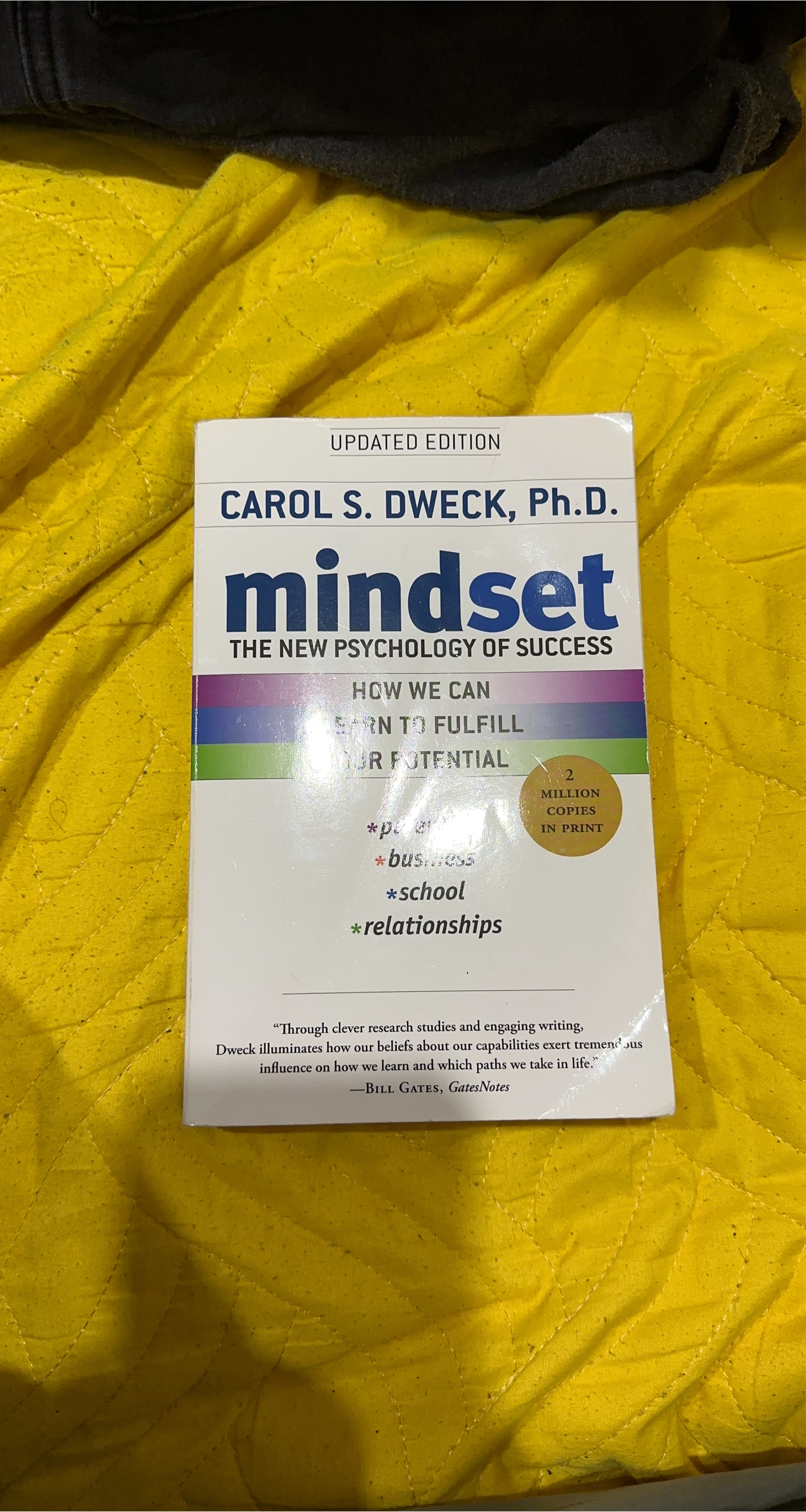 Mindset: The New Psychology of Success by Carol S. Dweck
