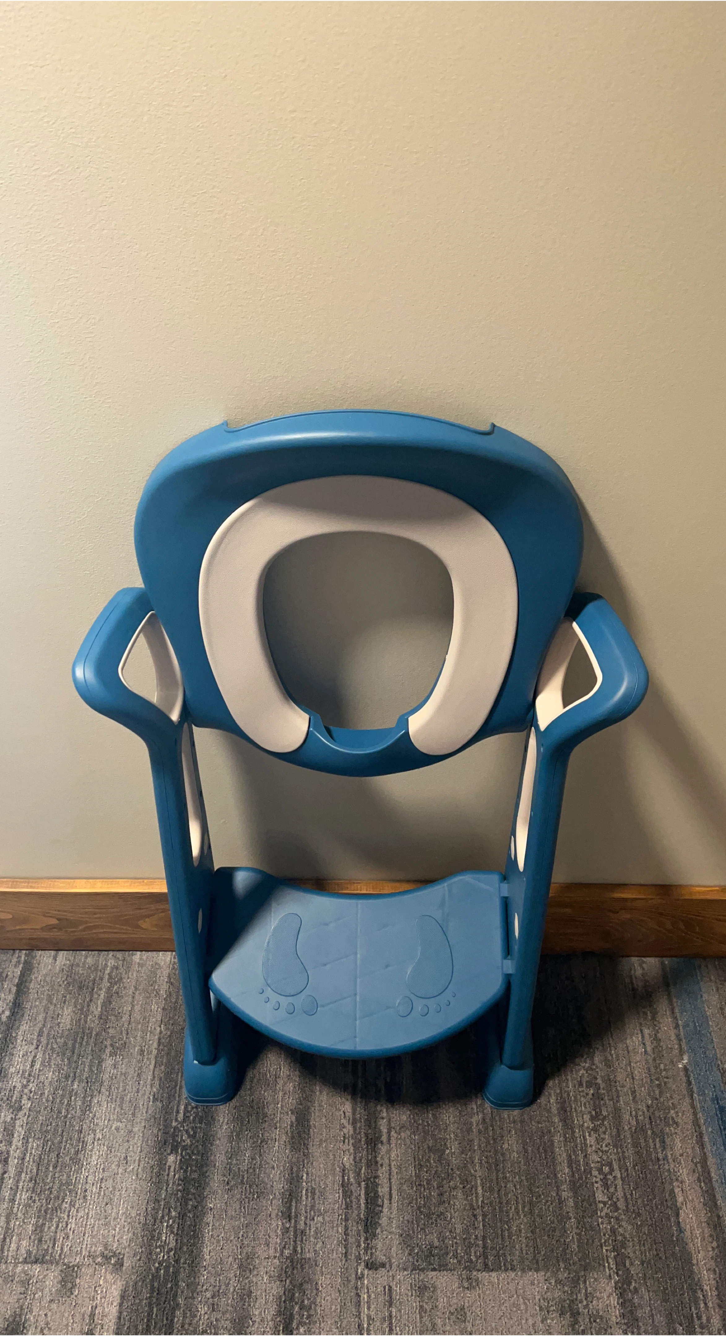 Blue & White Potty Training Seat with Step Stool