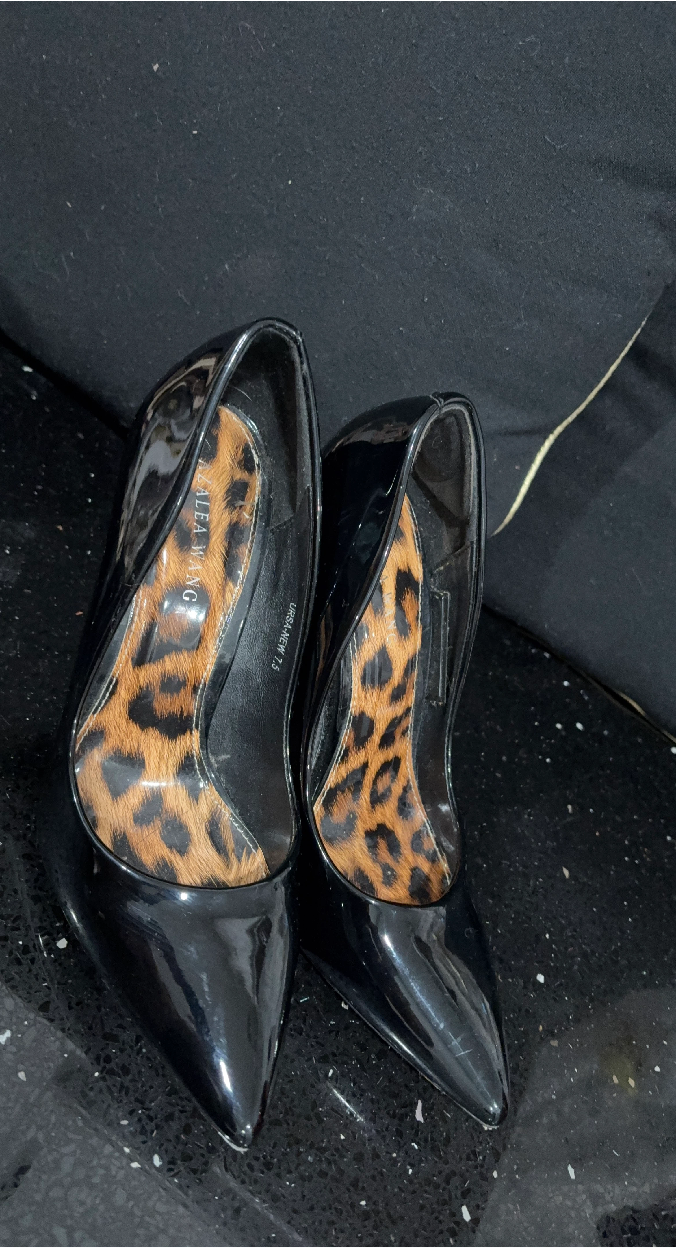 Alea Wang Ursa-New Black Heels - Size 7.5 image indicator(1)