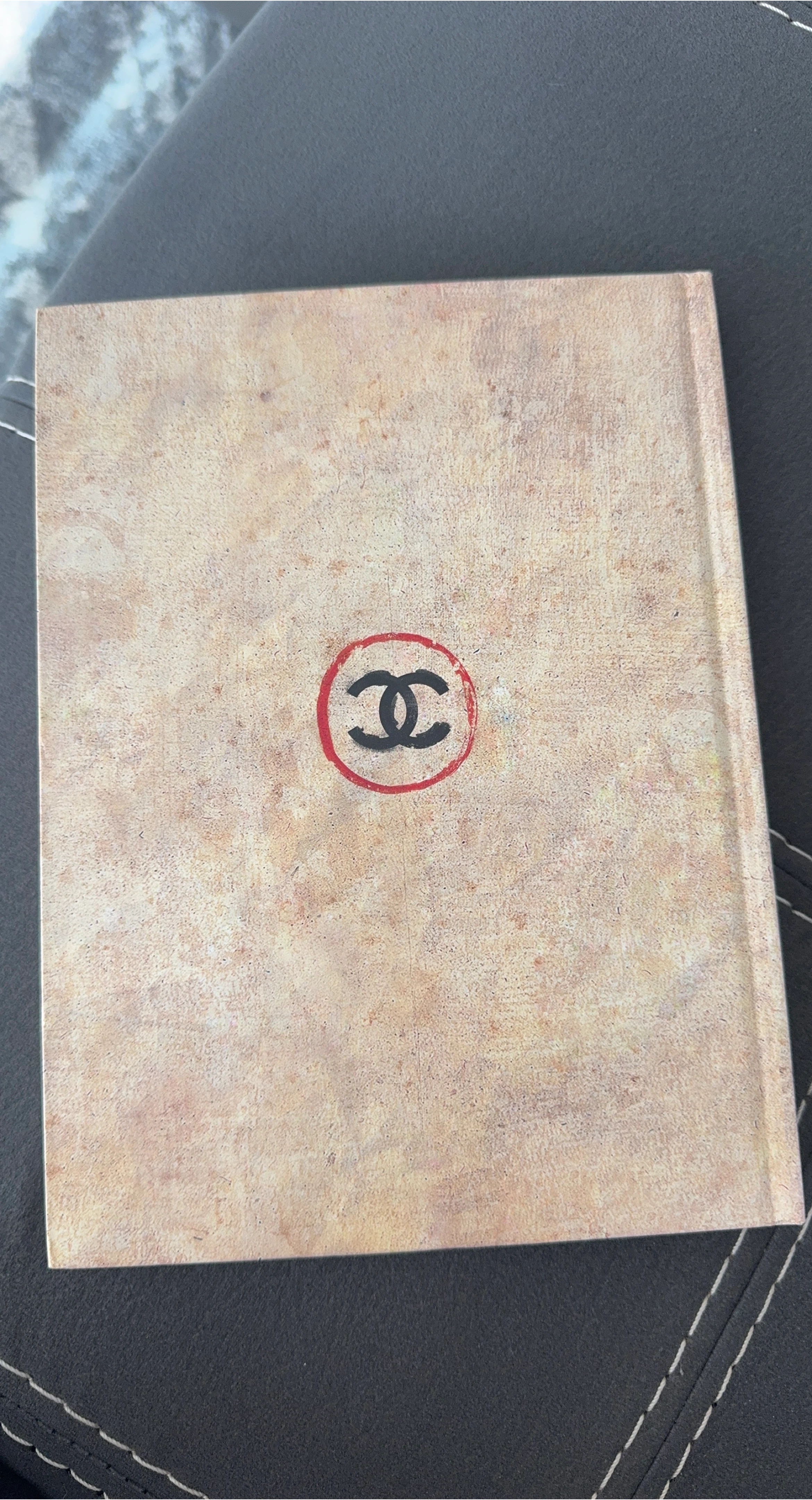 Coco Chanel: Back in Dallas Book