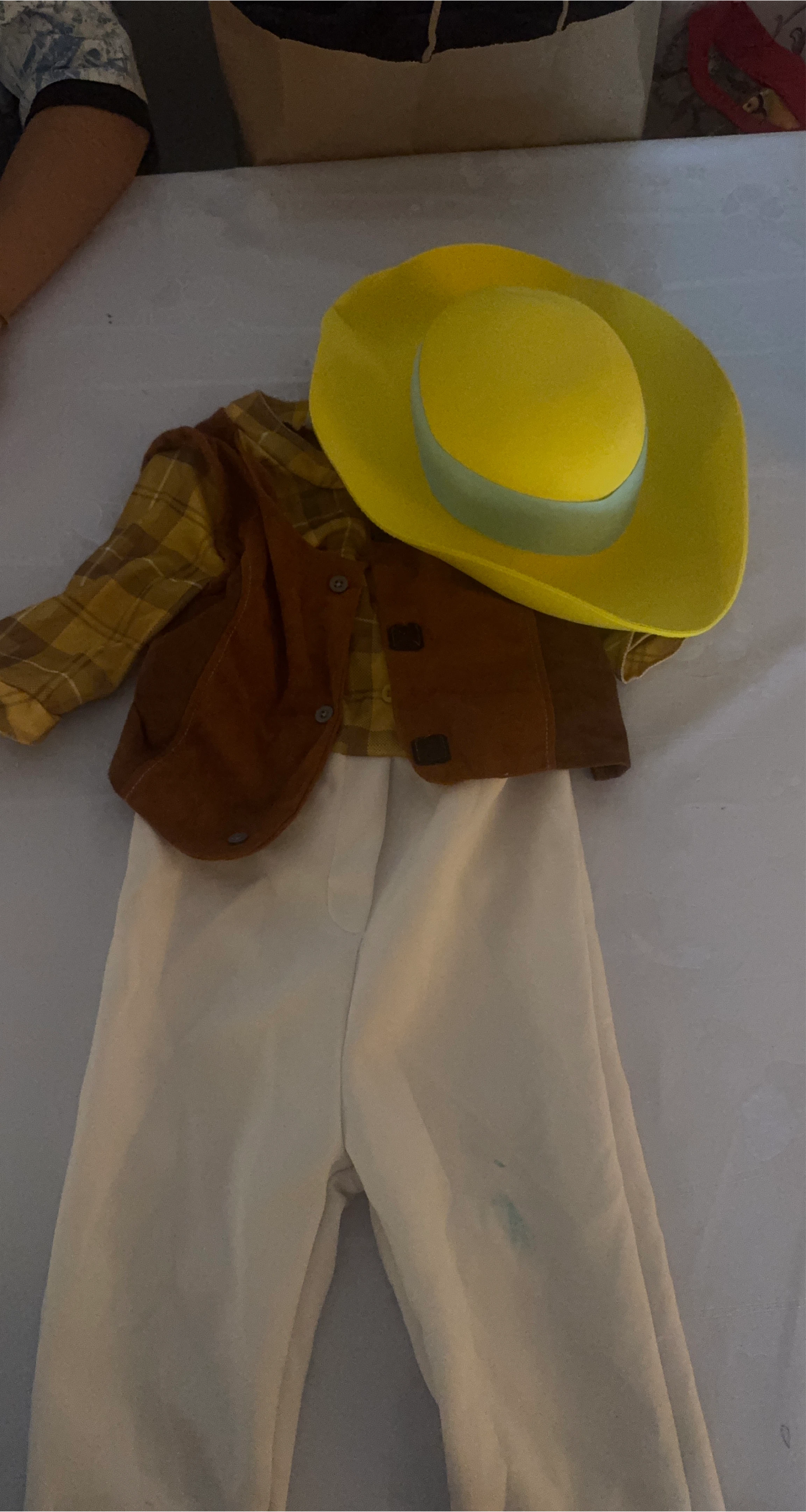Cowboy Costume (Hat, Shirt, Vest, Pants)