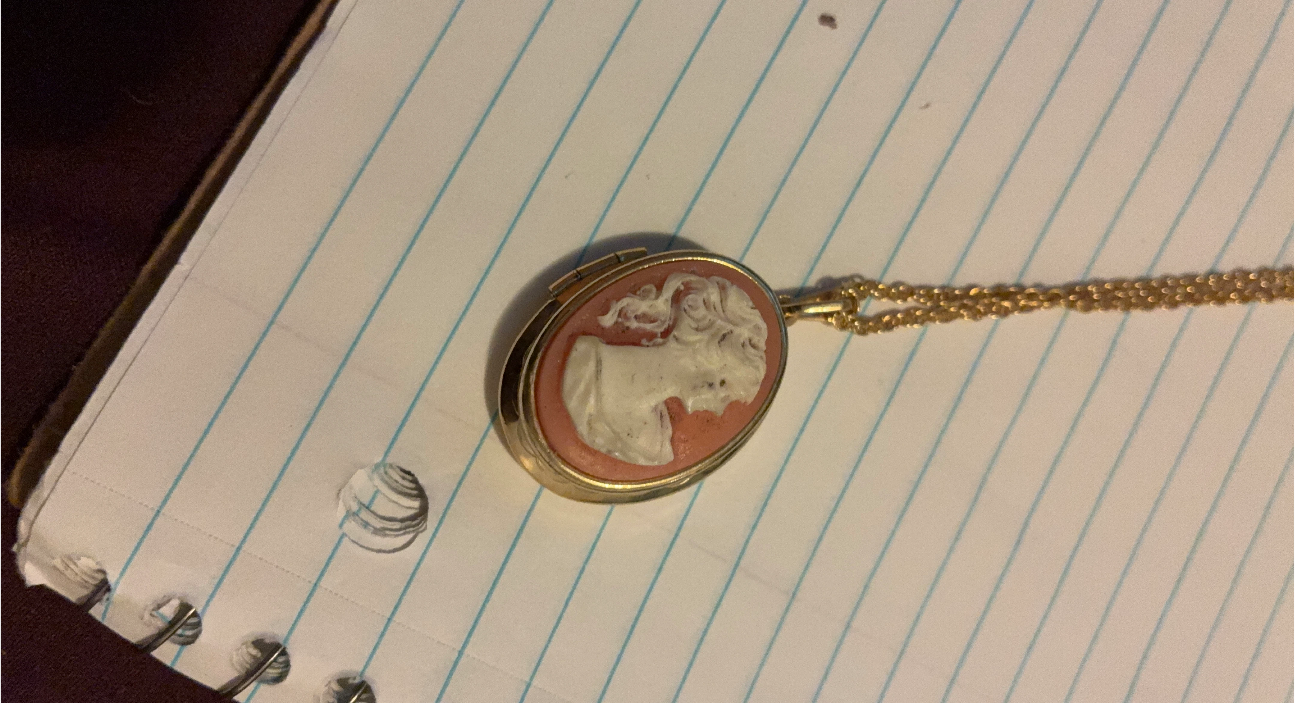 Vintage Cameo Locket Necklace thumbnail