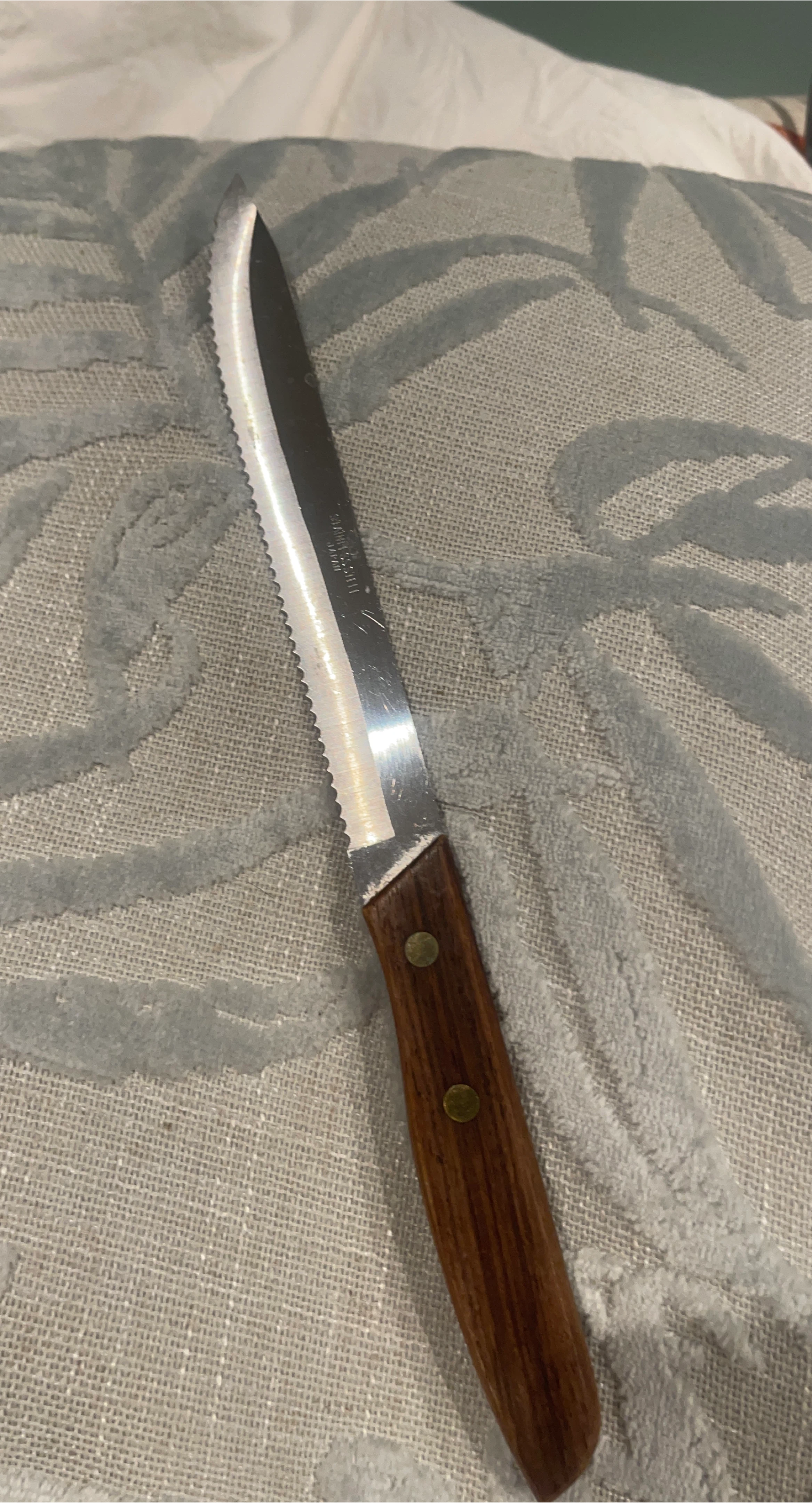 Stainless Steel Steak Knife Japan thumbnail