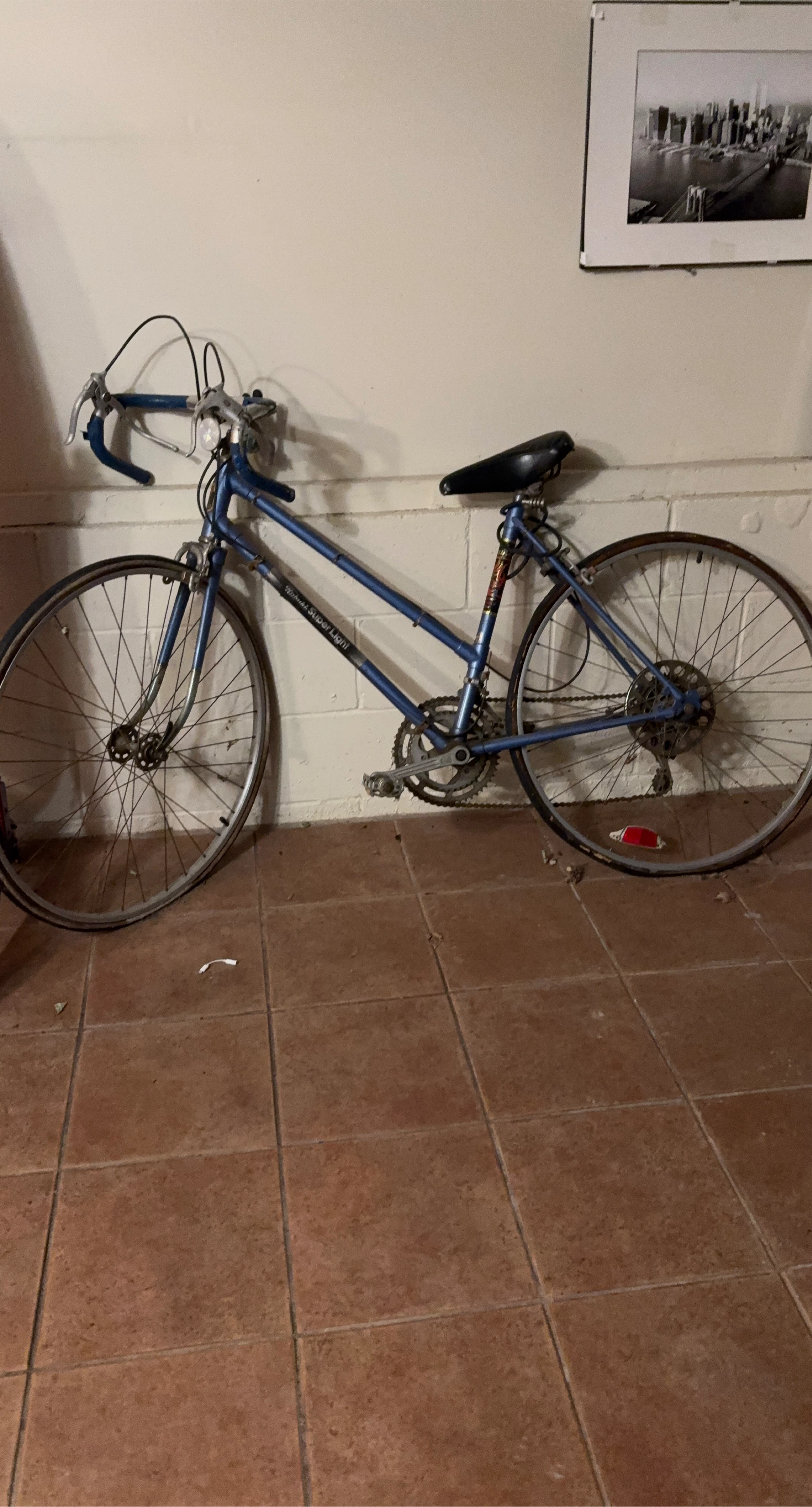 Super Light Road Bike