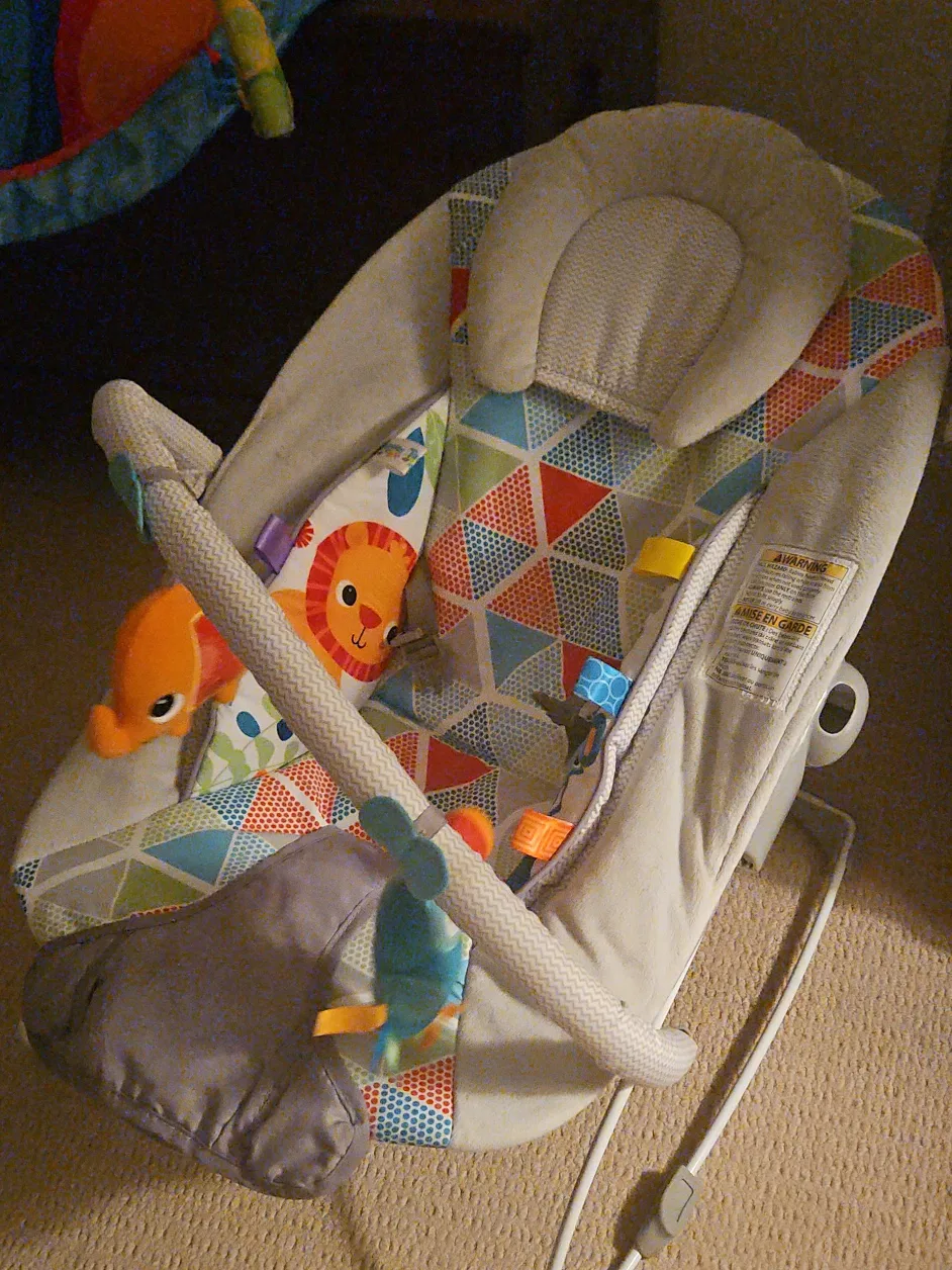 Fisher-Price Baby Bouncer Seat