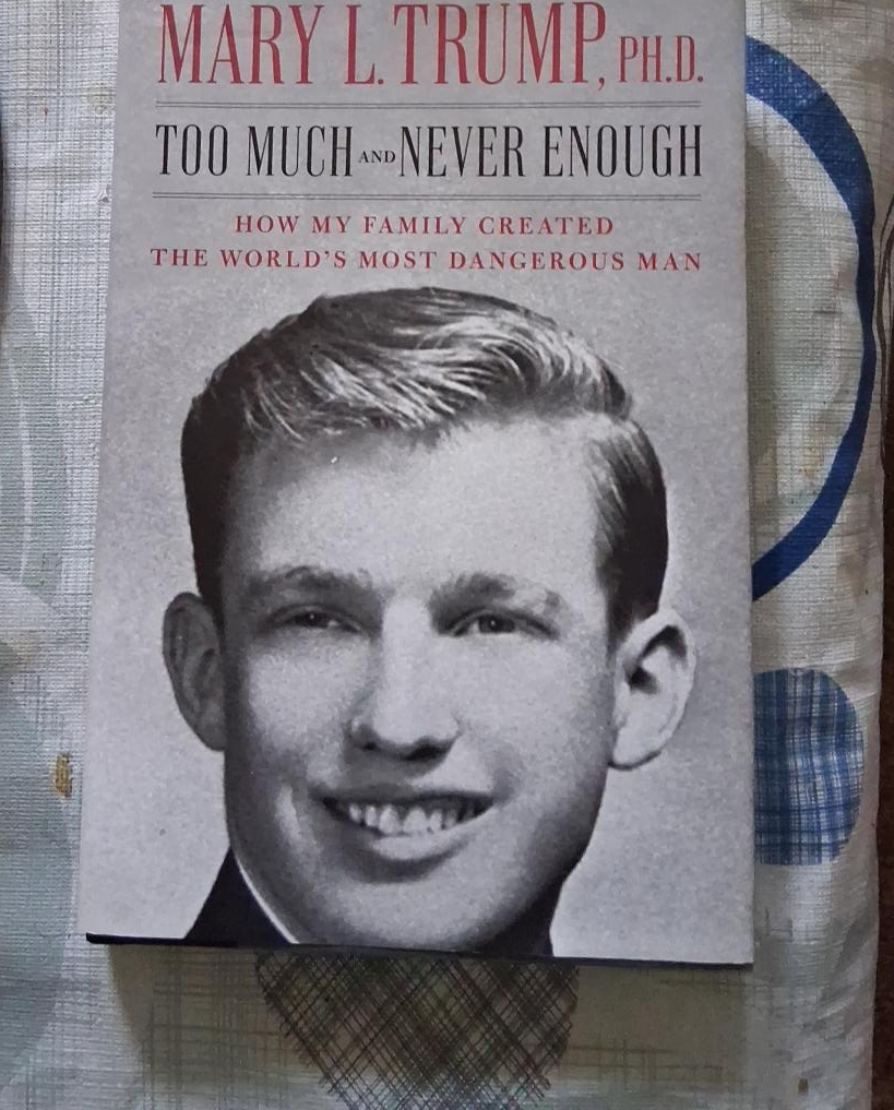 Too Much and Never Enough by Mary L. Trump thumbnail