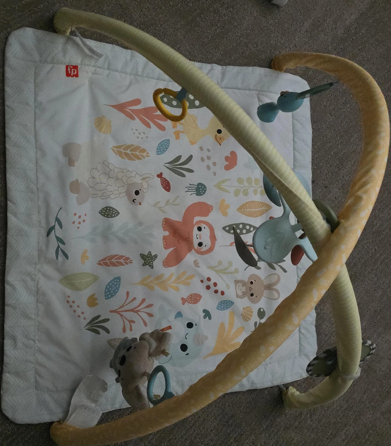 Fisher-Price Baby Activity Gym