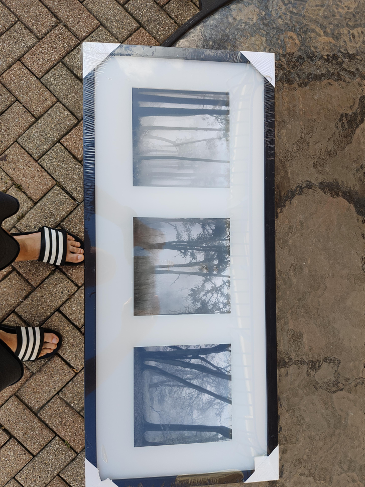New Black Framed 3-Panel Forest Wall Art