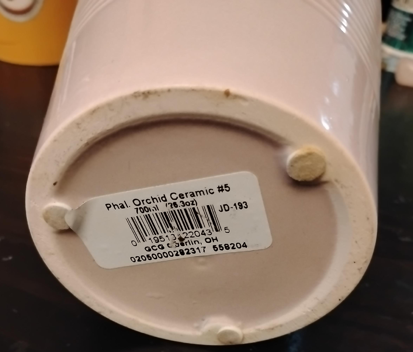 🥕Phal. Orchid Ceramic #5 700ml plant pot 🥕 thumbnail