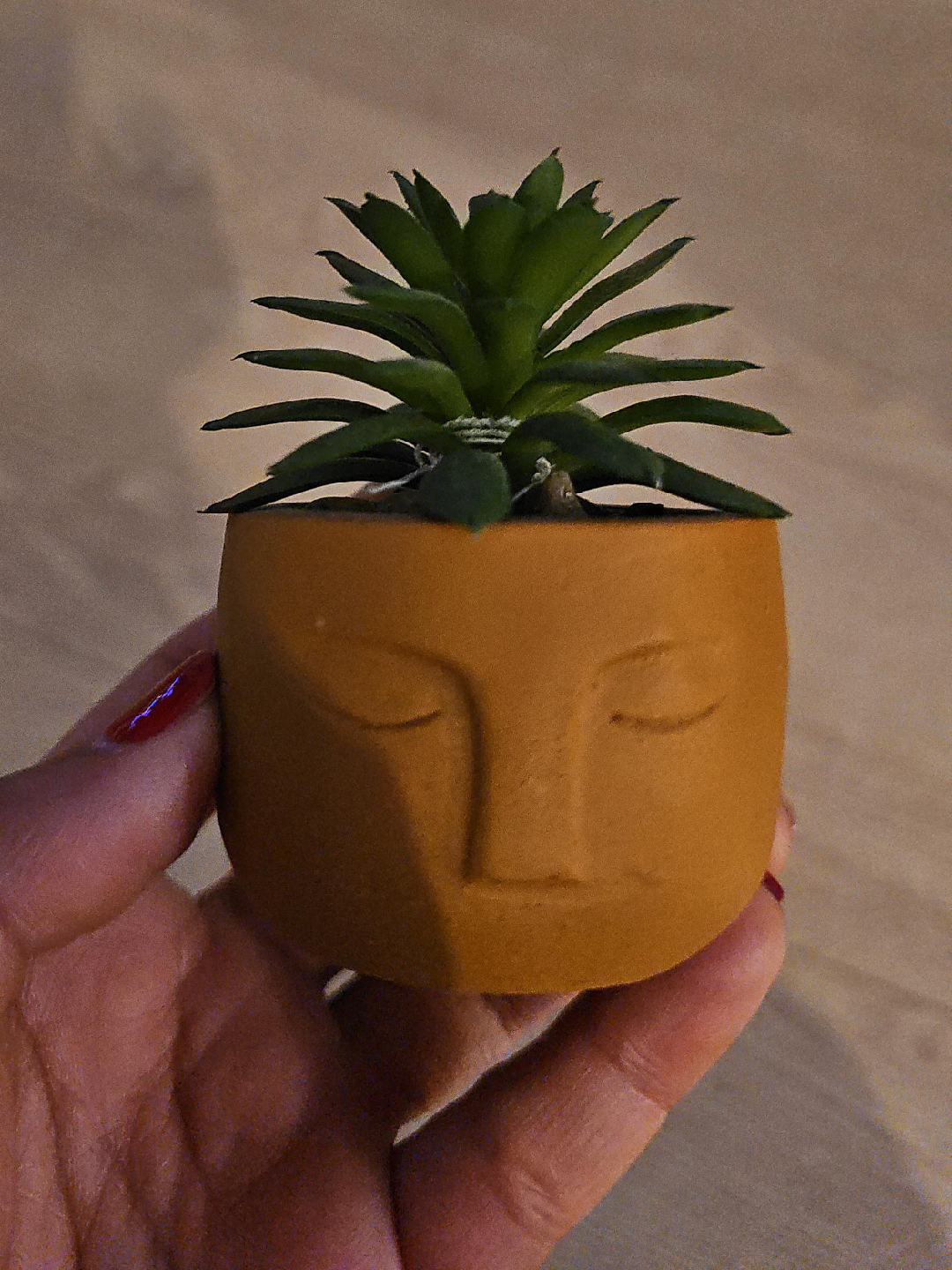 Face Planter with Artificial Succulent thumbnail