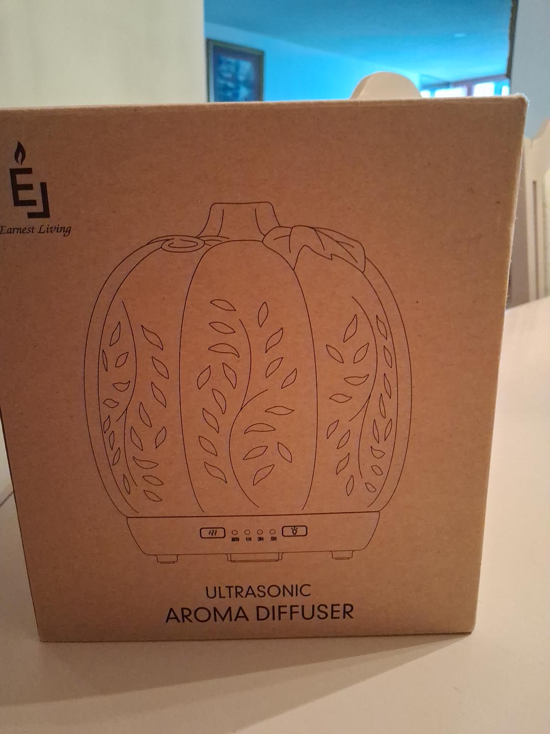 Earnest Living Ultrasonic Aroma Diffuser image indicator(1)