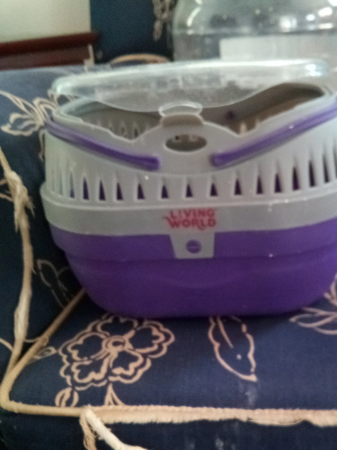 Living World Pet Carrier thumbnail