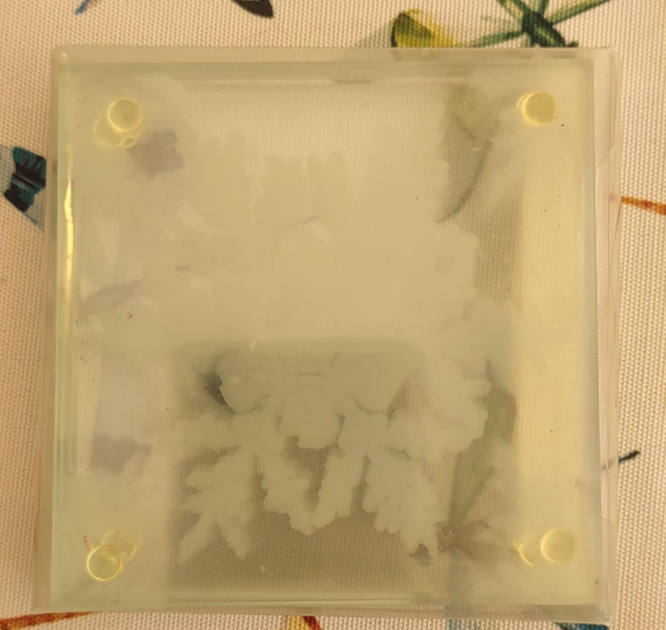 Set of 4 Glass Snowflake Coasters