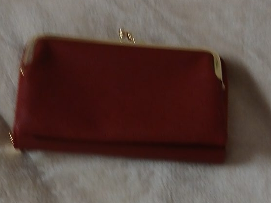 Red Clutch Purse