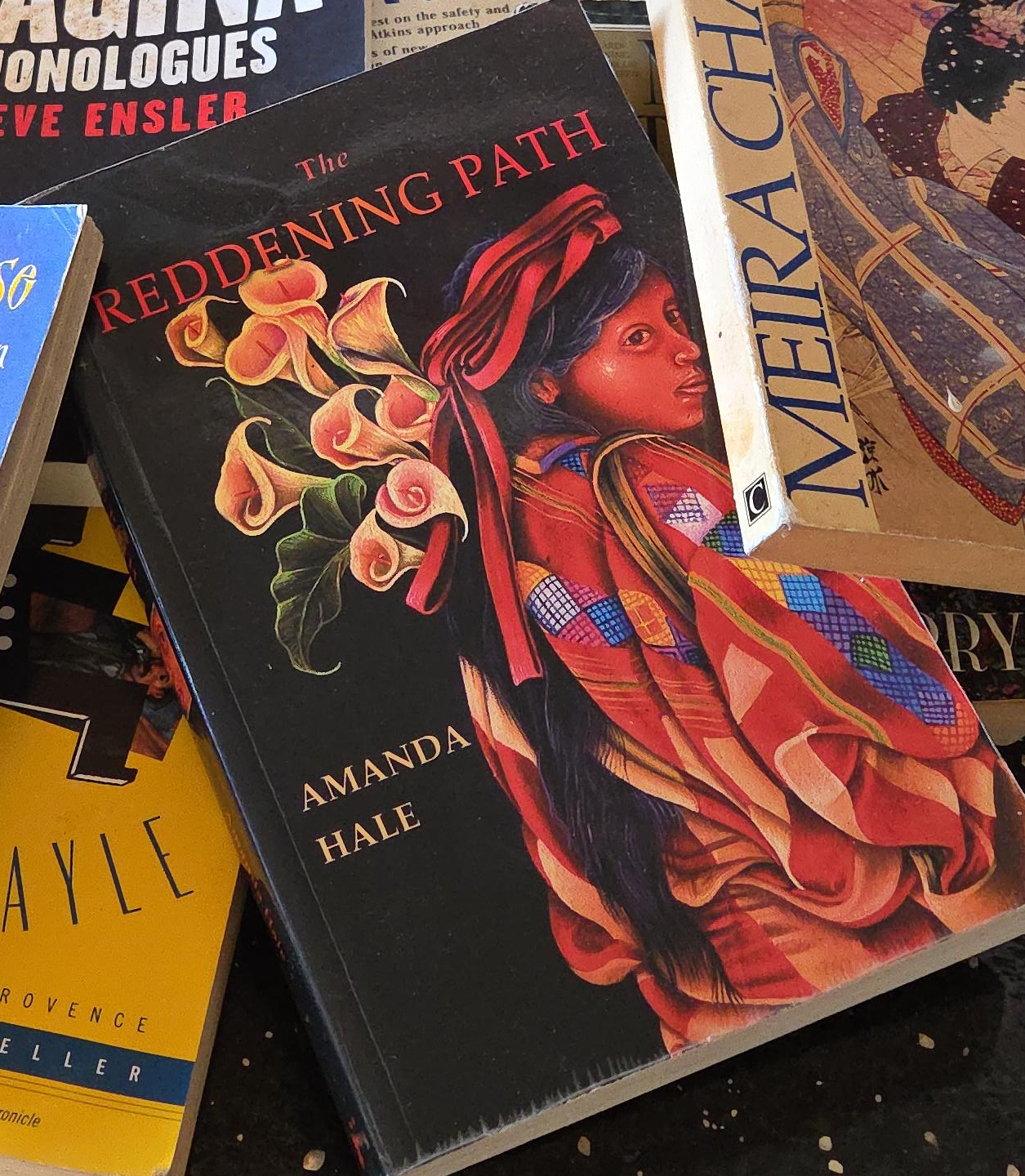 Bundle of Assorted Books
