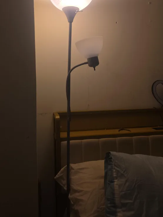 Floor Lamp with Reading Light
