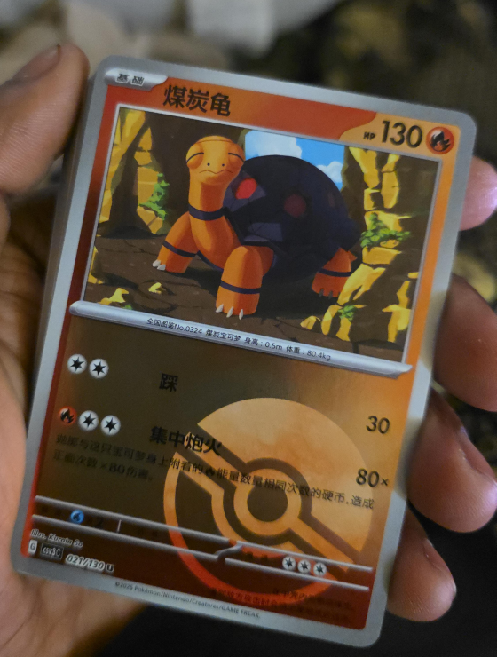 Pokemon Torkoal Card