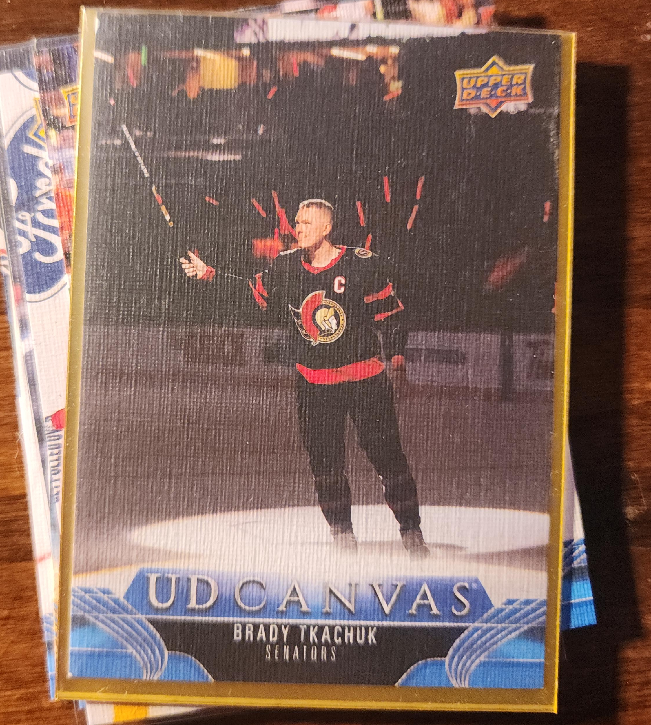 Upper Deck Brady Tkachuk Senators UD Canvas Hockey Card thumbnail