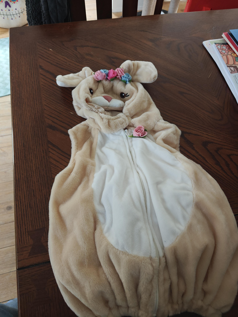 Bunny Costume, Size 12-18 Months