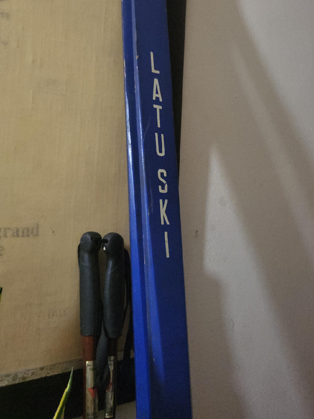 🥕Swedish Cross County ski by Latu thumbnail