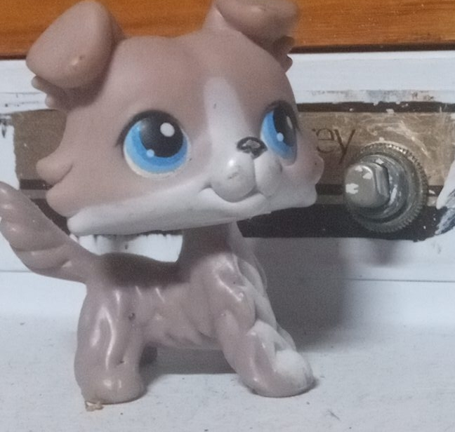 Littlest Pet Shop Dog Figure
