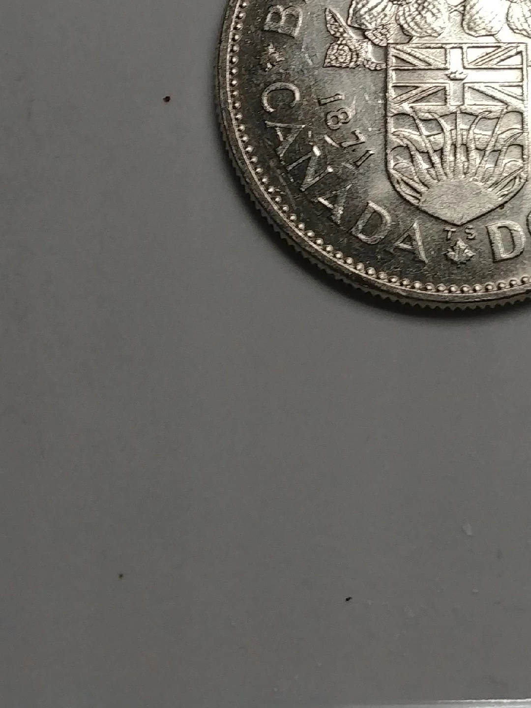 Canadian Silver Dollar Coin image indicator(2)