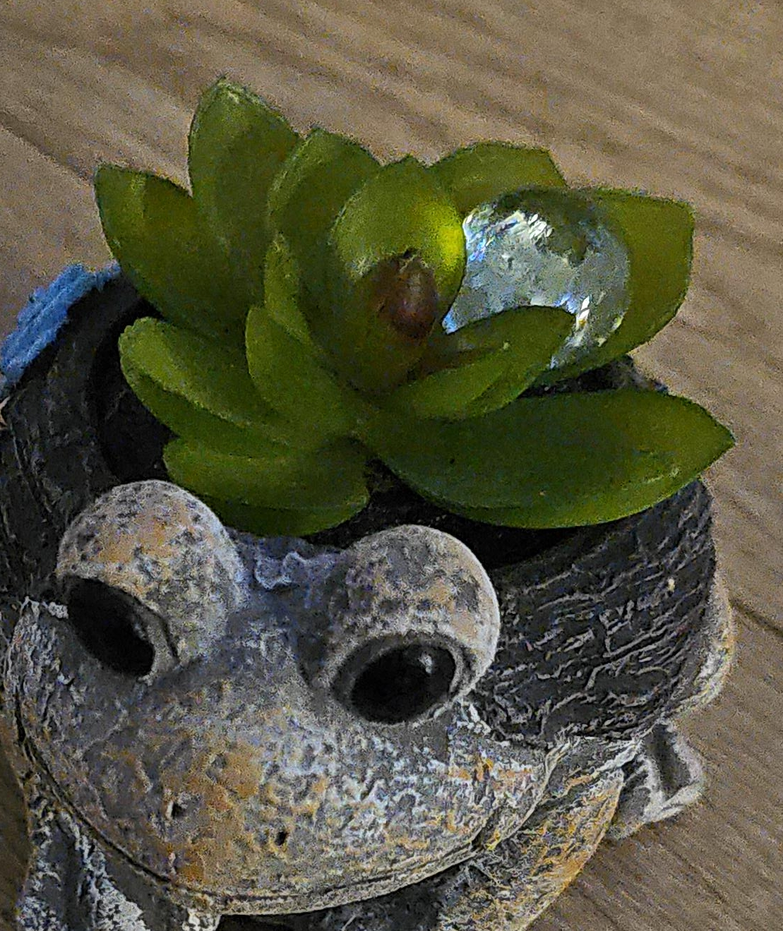 Frog Planter with Succulent thumbnail