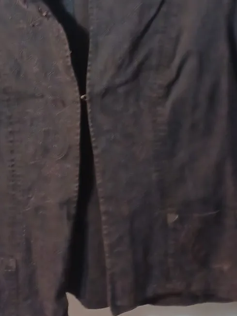 Alfred Sung Brown Jacket