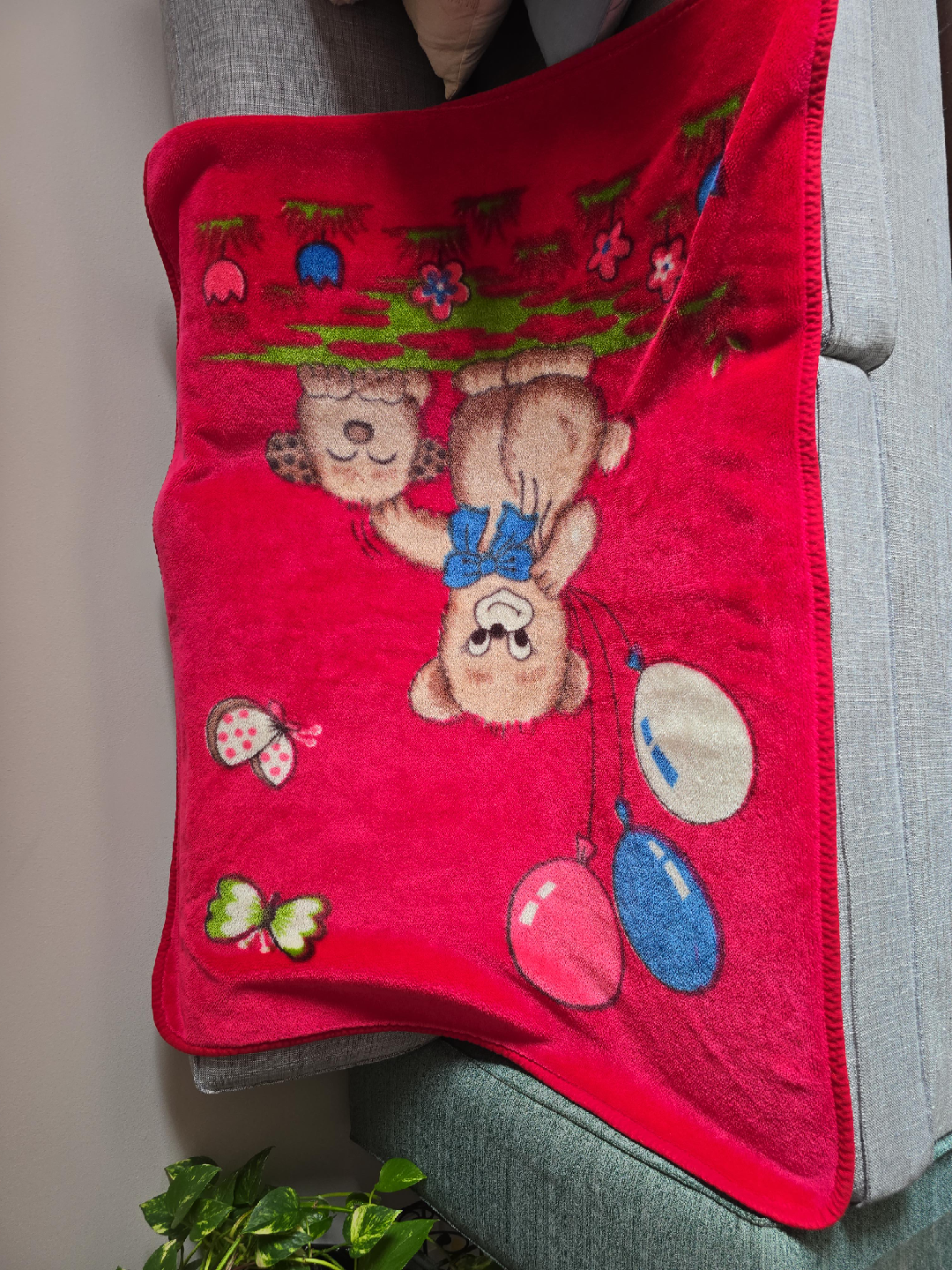Red Teddy Bear Blanket thumbnail