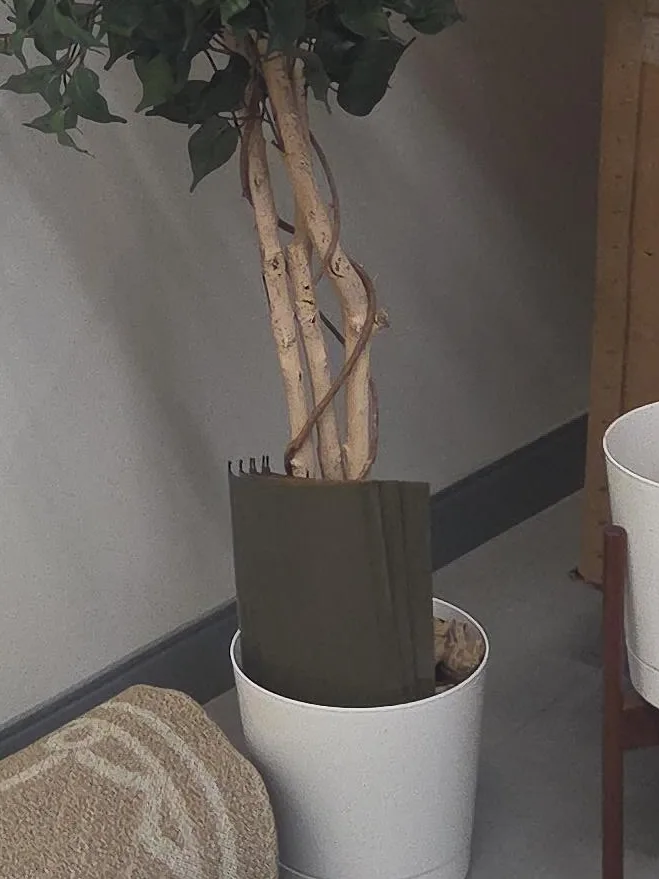Faux Ficus Tree in White Pot
