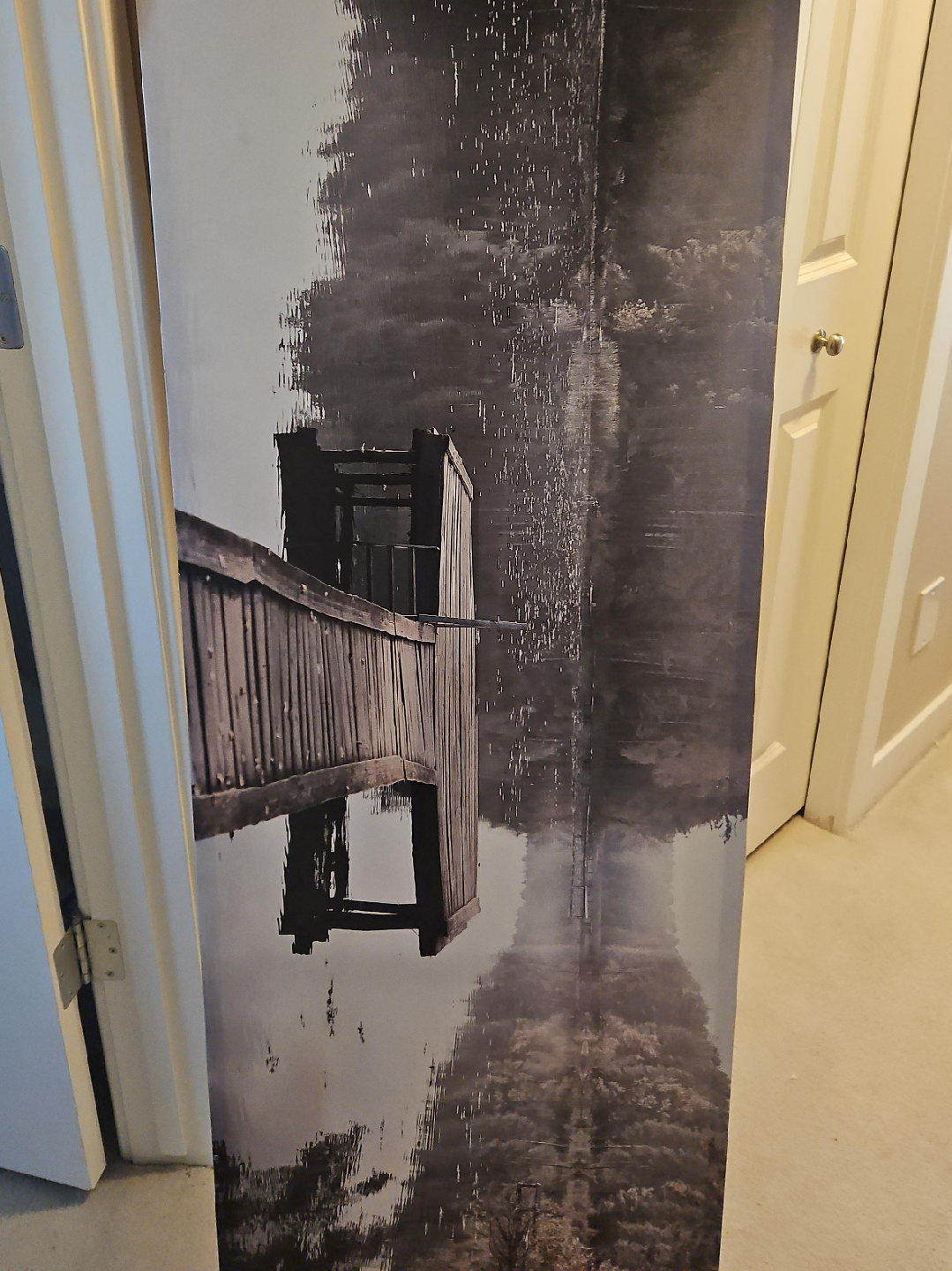 Lake  Dock Picture