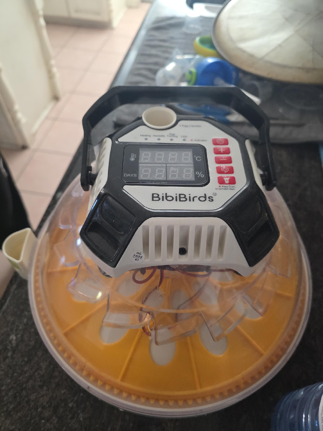 BibiBirds Egg Incubator