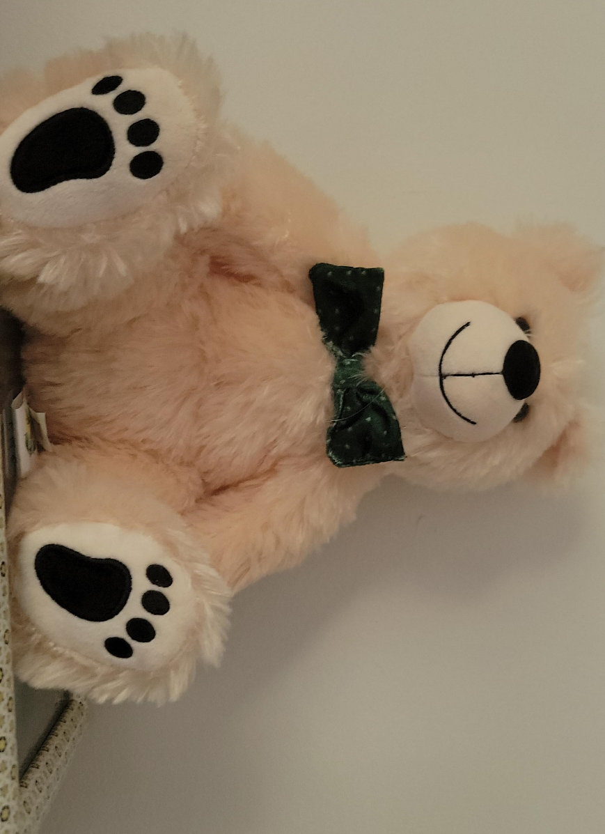 Cute Plush Teddy Bear with Bow thumbnail